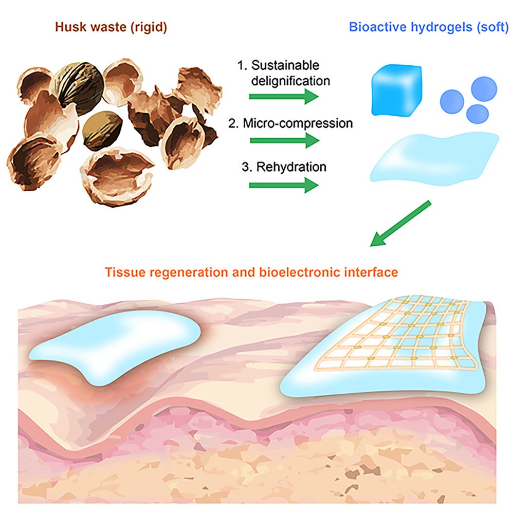 Graphical abstract summarizing the elements of the study.