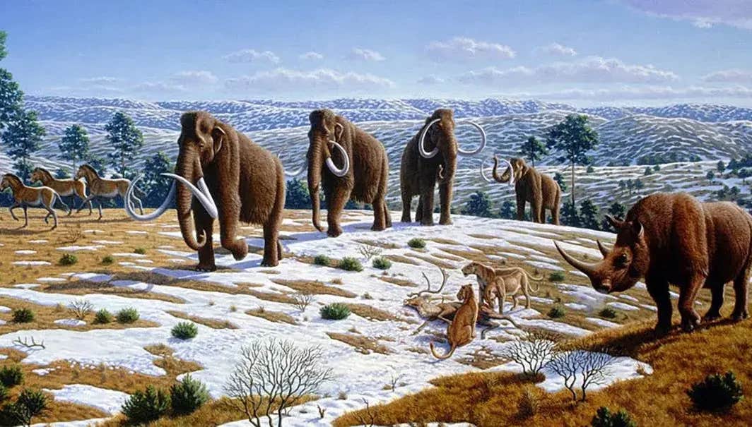 Although most megafauna vanished at the end of the Last Ice Age, scientists still debate what ultimately caused their extinction.