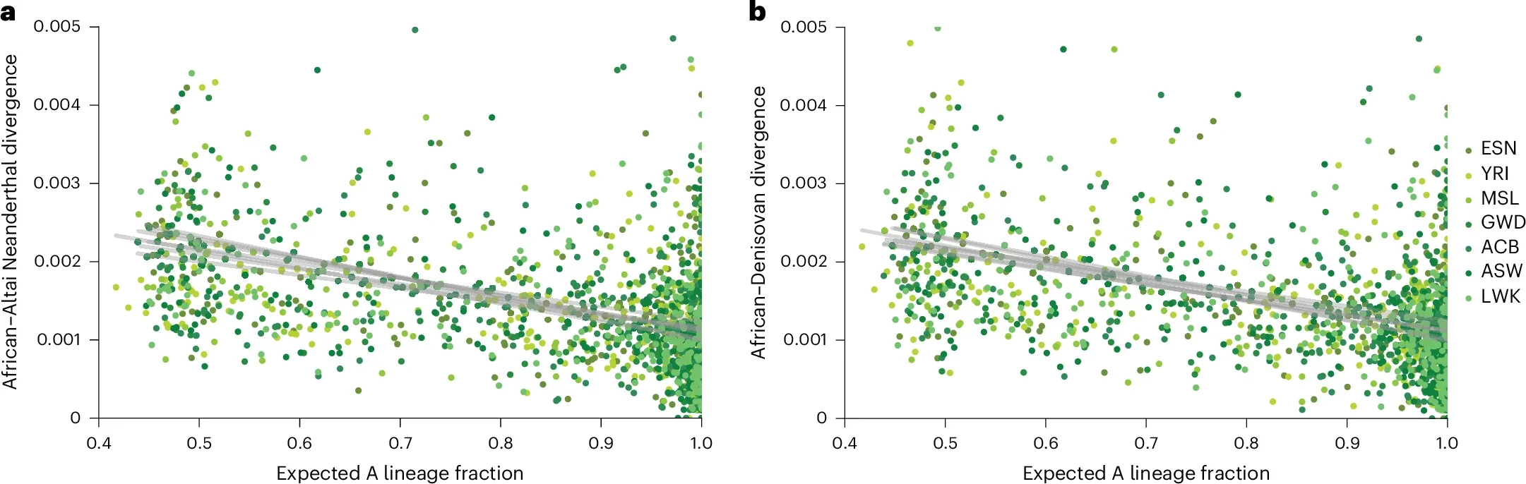 Relationship between human–archaic divergence and cobraa-path’s expected fraction of ancestry from the A lineage.