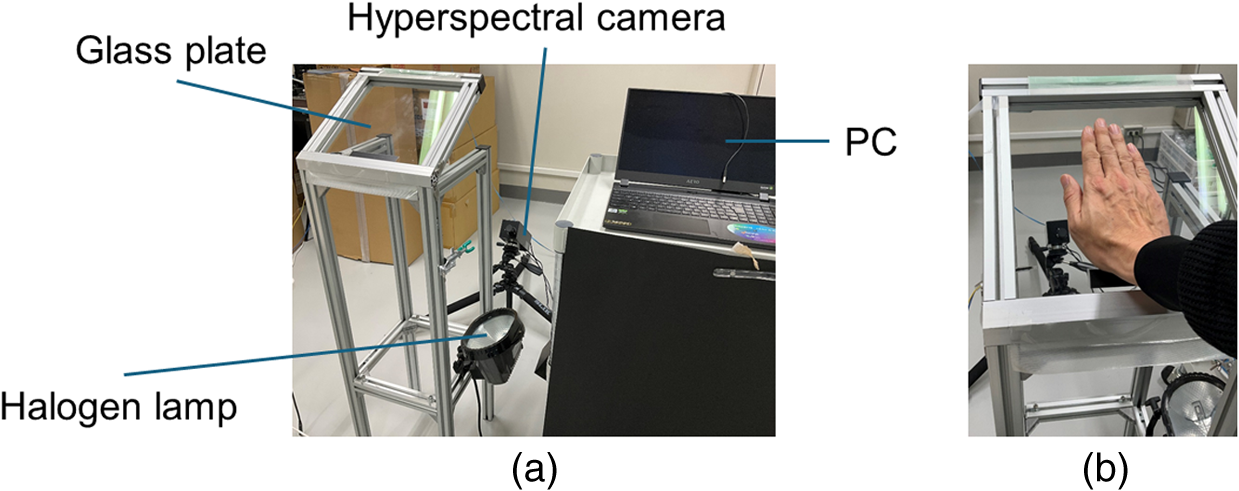 Experimental setup of hyperspectral imaging for acquiring palm data. (a) Hyperspectral imaging system consists of a hyperspectral camera, light source, and scanning section. (b) Example of palm scanning.