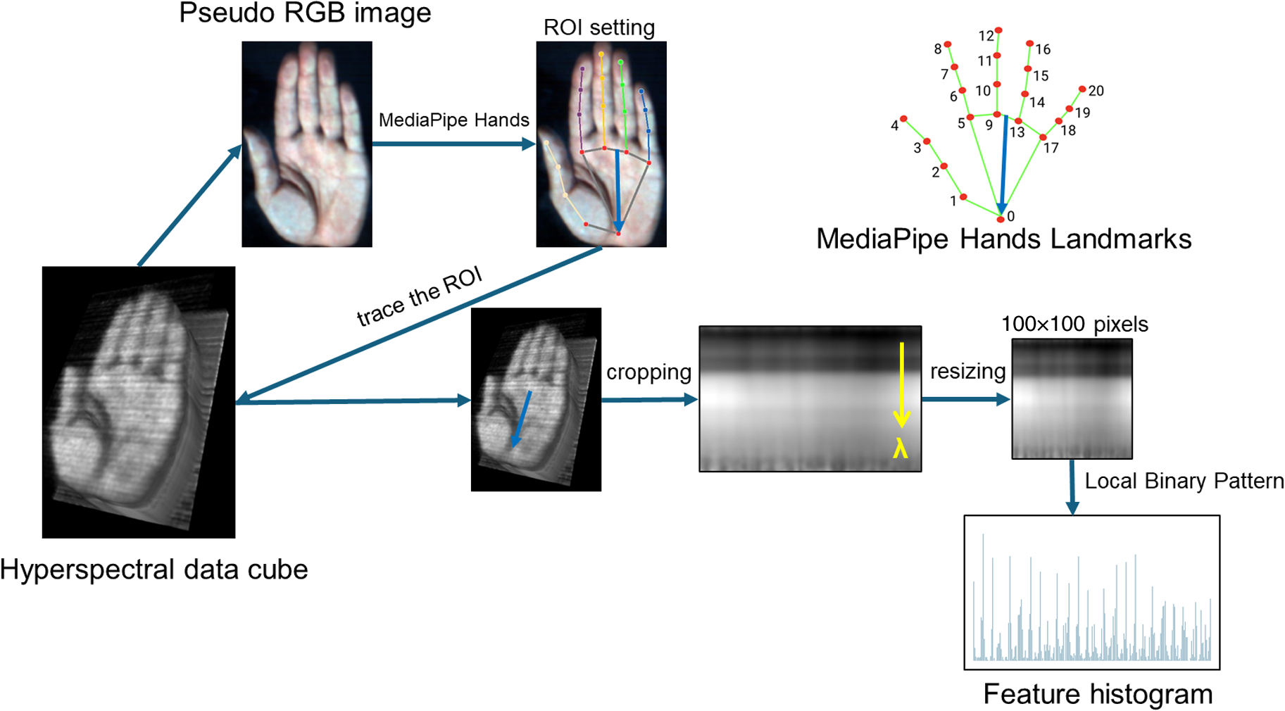 Visualization of feature vector extraction.