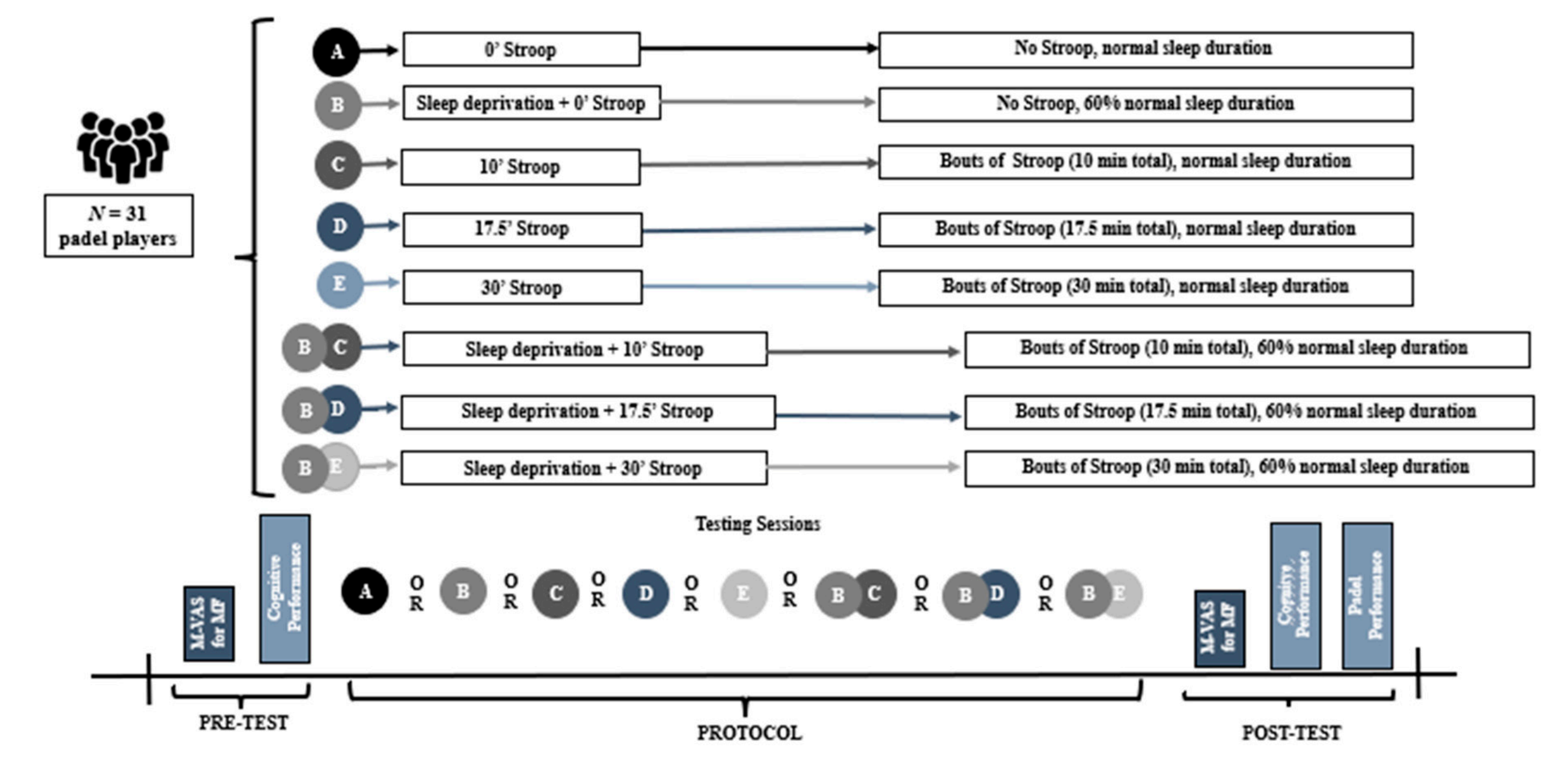 Study protocols. The study employed a within-participant experimental design, with cognitive task duration (0, 10, 17.5, 30 min) and sleep status (rested, fatigued) as within-participant factors. 