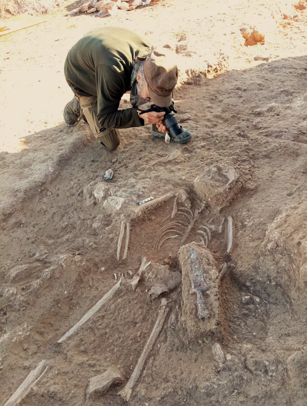 Skeletal remains of the possible legionary next to the 'pugio' with which he was buried.