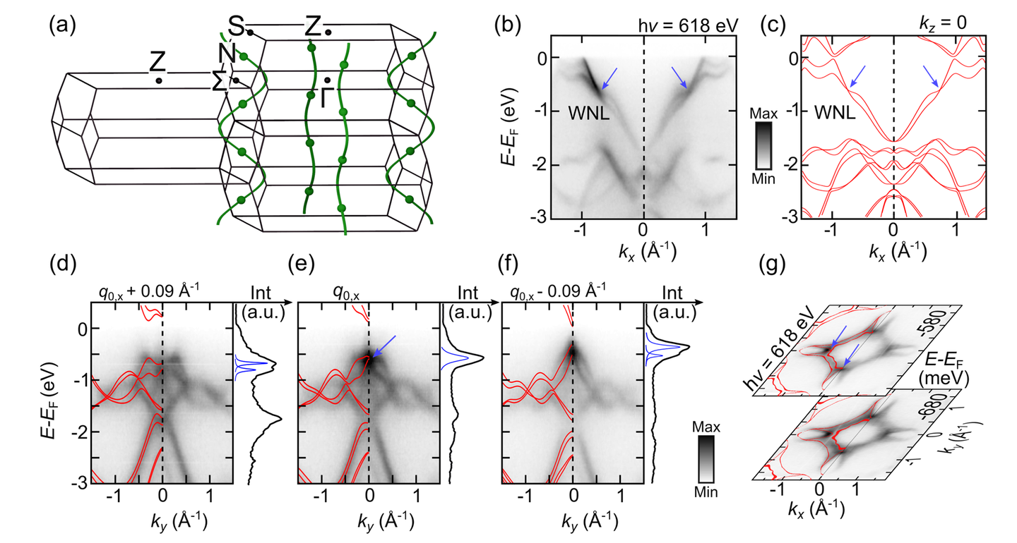 Sketch of the TaAs Brillouin zone with a symmetry-enforced almost movable WNL, denoted in green.