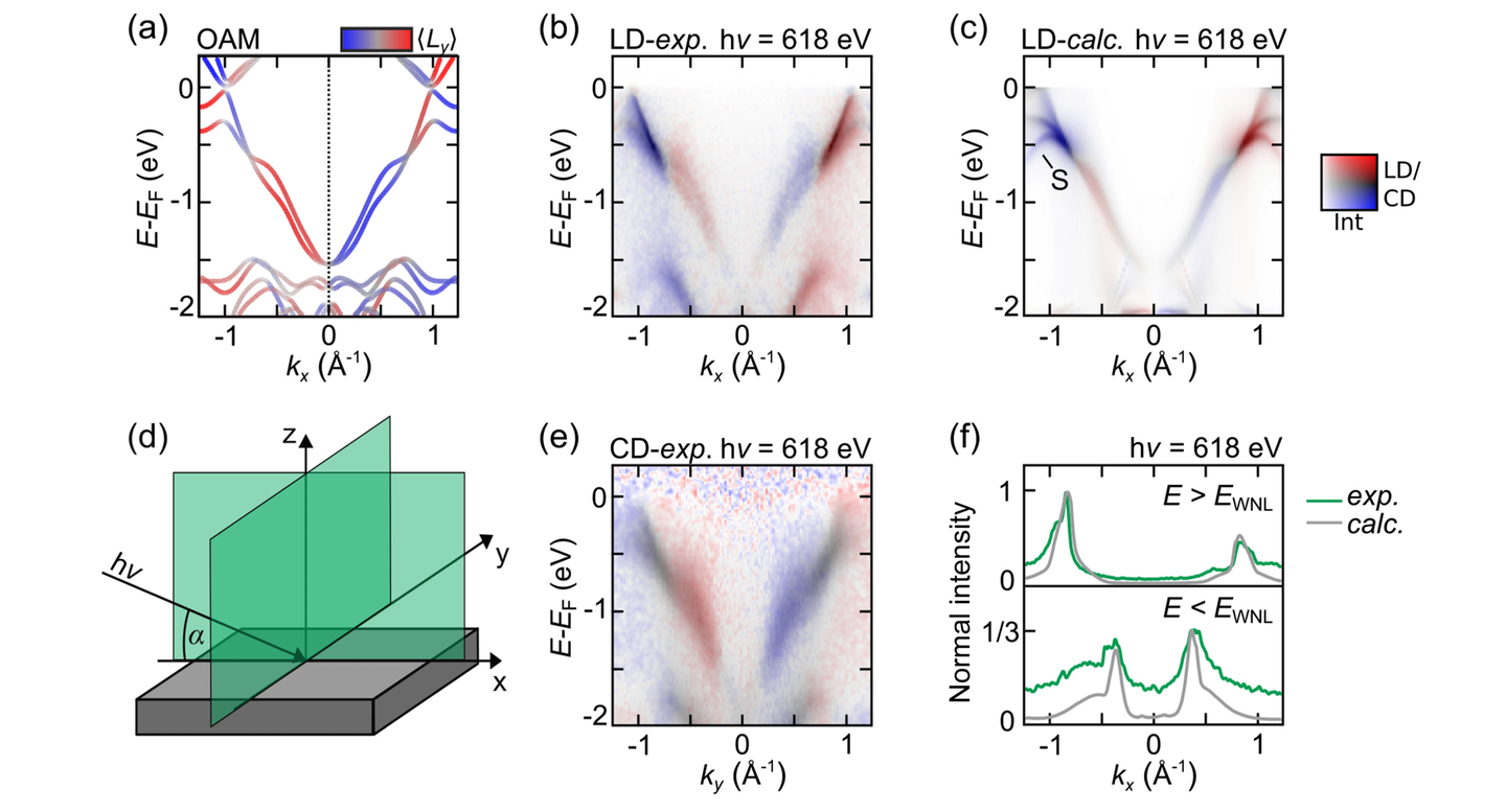 Linear dichroism and orbital angular momentum at the WNL.