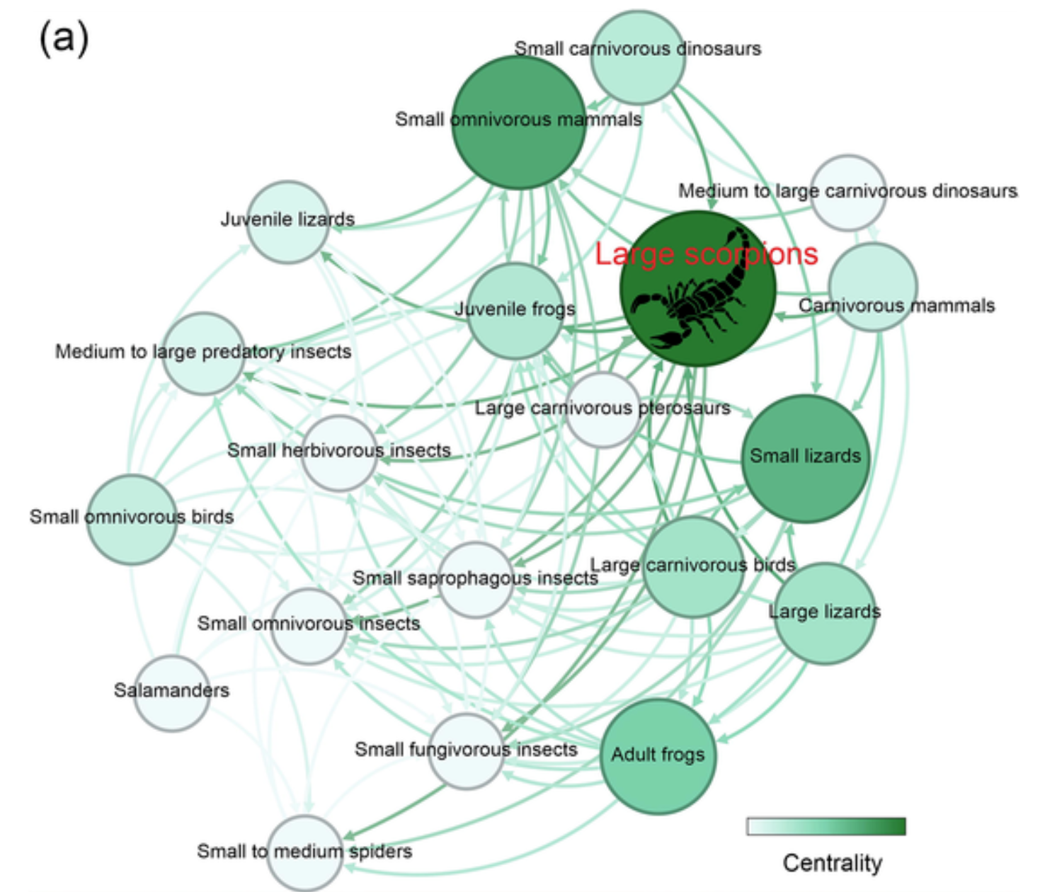 Paleoecological environment reconstruction of Jeholia longchengi gen. et sp. nov. by Jie Sun. The size of the node is proportional to its Betweenness Centrality, as is the depth of the node's color.