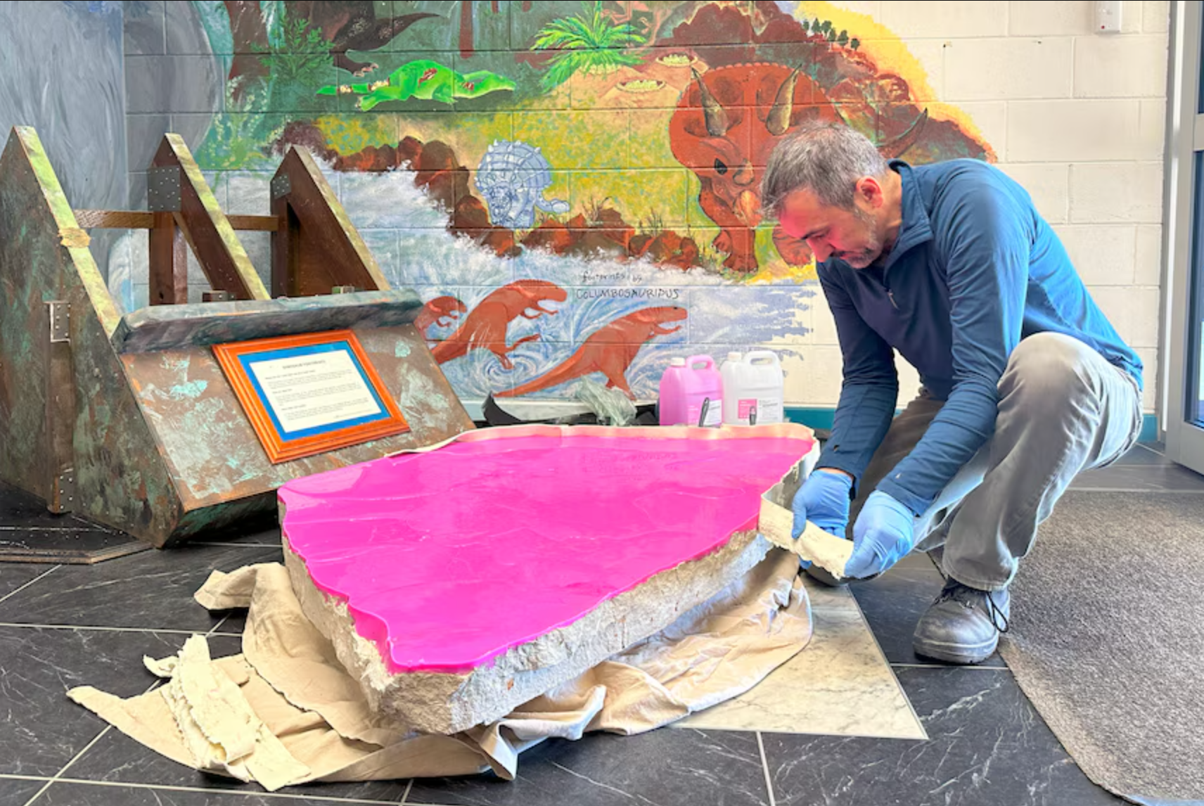 Anthony Romilio makes a mould of the Biloela State High School specimen. 