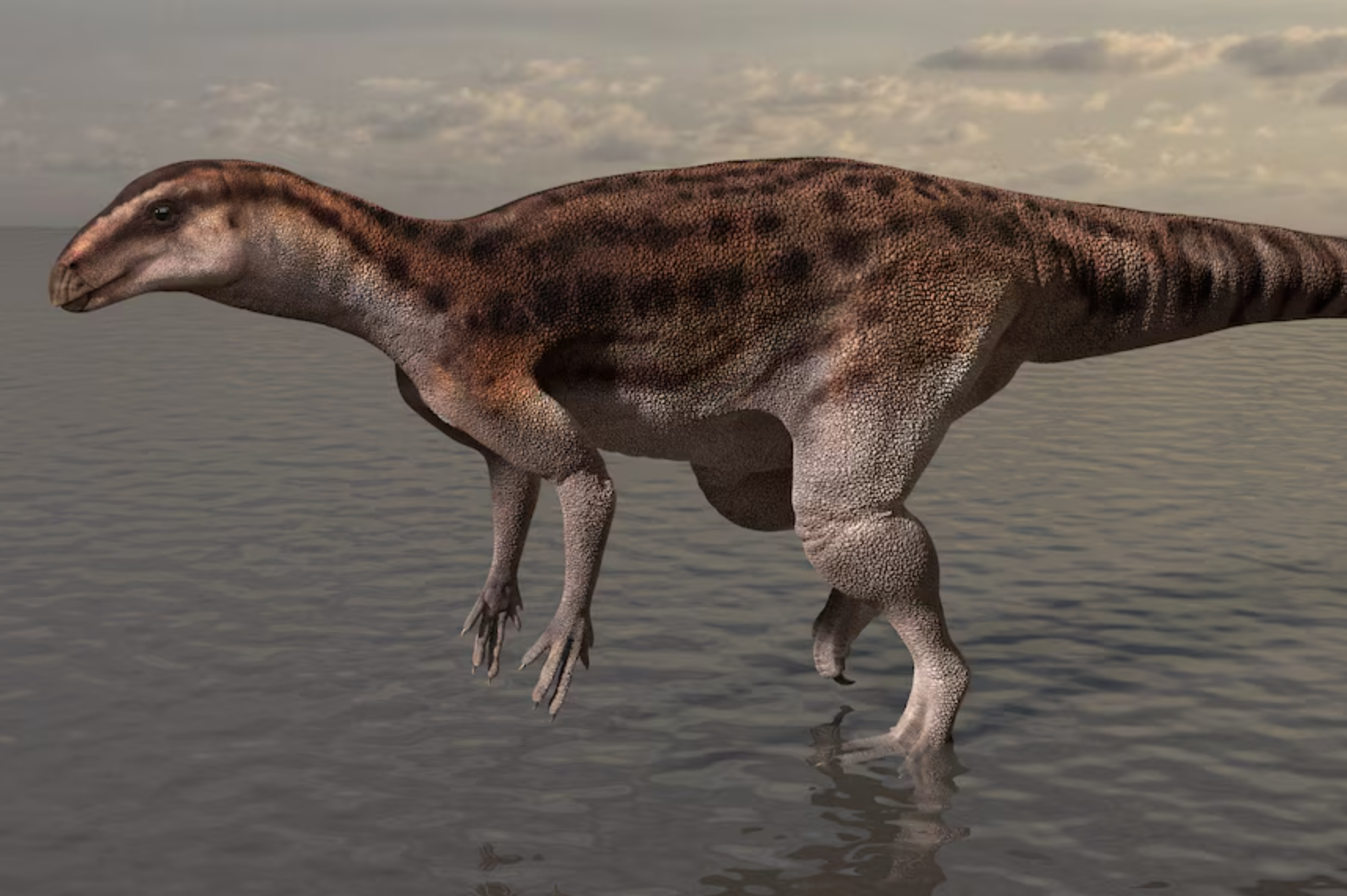 Impression of Pisanosaurus-like dinosaur responsible for the footprints walking in shallow water.