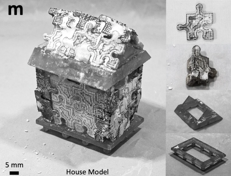 Inspired by coral reefs, a breakthrough technology captures atmospheric CO₂, converting it into strong, fire-resistant building materials for sustainable construction.