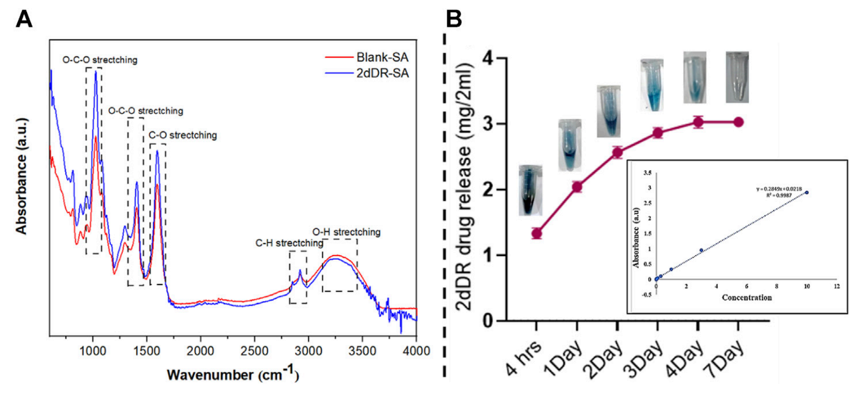 (A) FTIR spectra of blank-SA and 2dDR-SA hydrogels; (B) release and colorimetric detection of 2dDR at different time intervals (4 h and 1, 2, 3, 4, and 7 days) of drug release analysis.