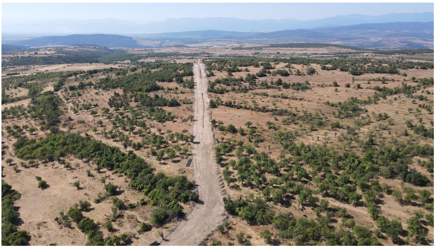 Site no. 2 and the orchard before the beginning of the archaeological survey, looking from north to south