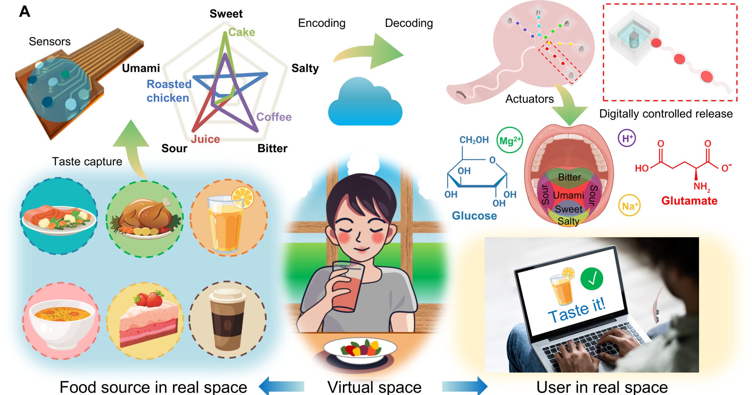 Schematic illustration of the operational principle of the reported gustatory interface, e-Taste. It features an electrochemical sensing platform for taste information capture, a wireless data transmission protocol for remote instruction and control, and an EM actuation system for taste replication by using edible chemicals representing the five basic taste sensations. The e-Taste can bridge real and virtual spaces or connect disparate real spaces across long distances