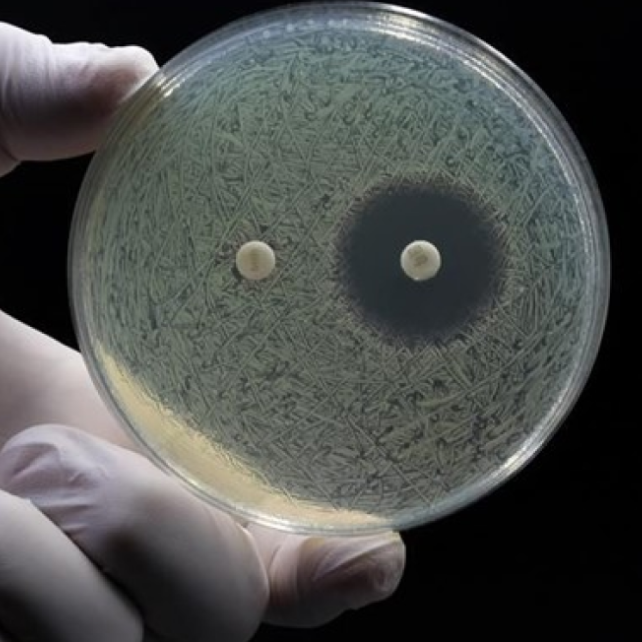 Historic Discovery Reveals New Weapon Against Drug-Resistant