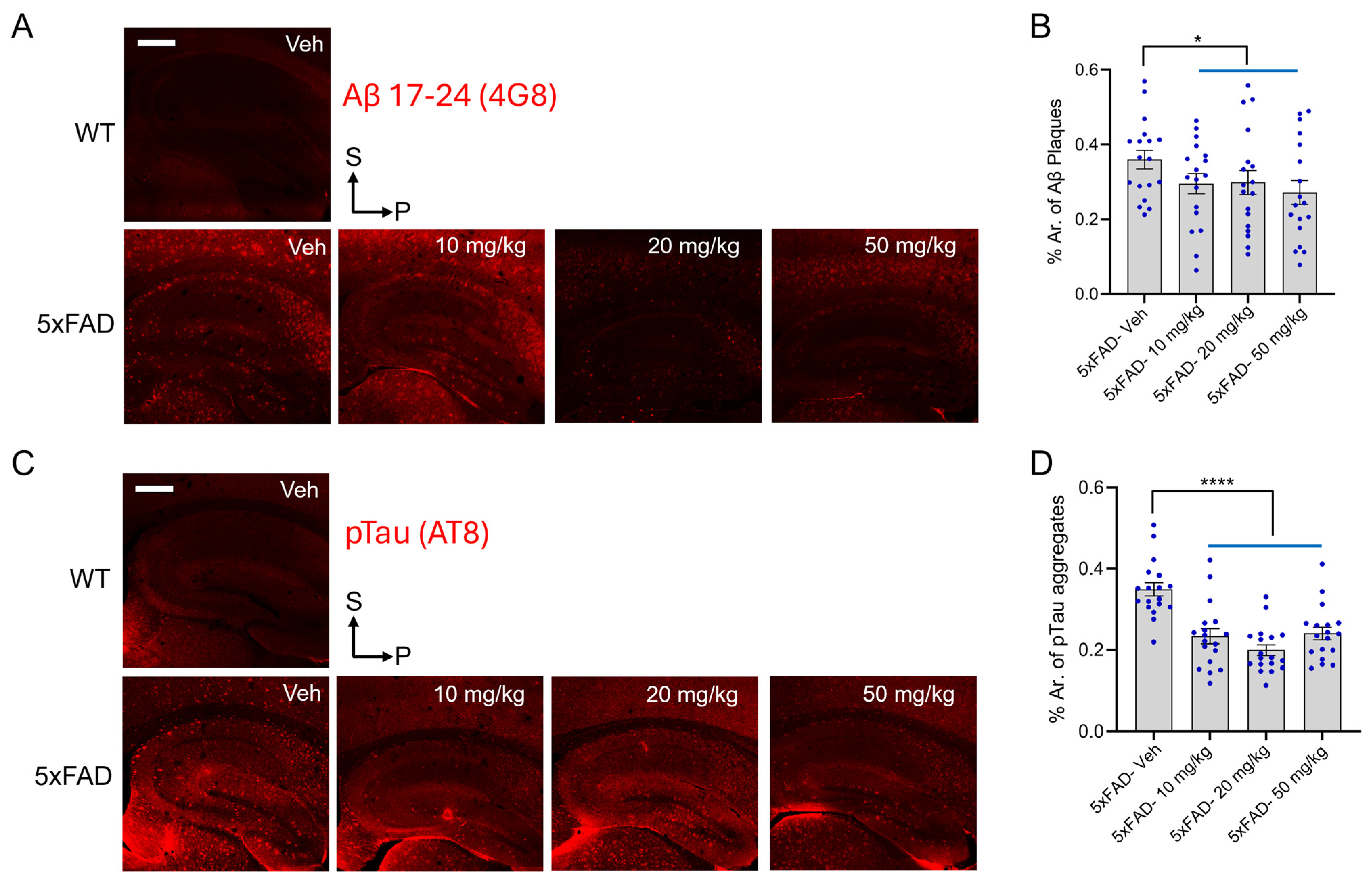 diAcCA treatment ameliorates AD-related aggregated proteins in 5xFAD mice.