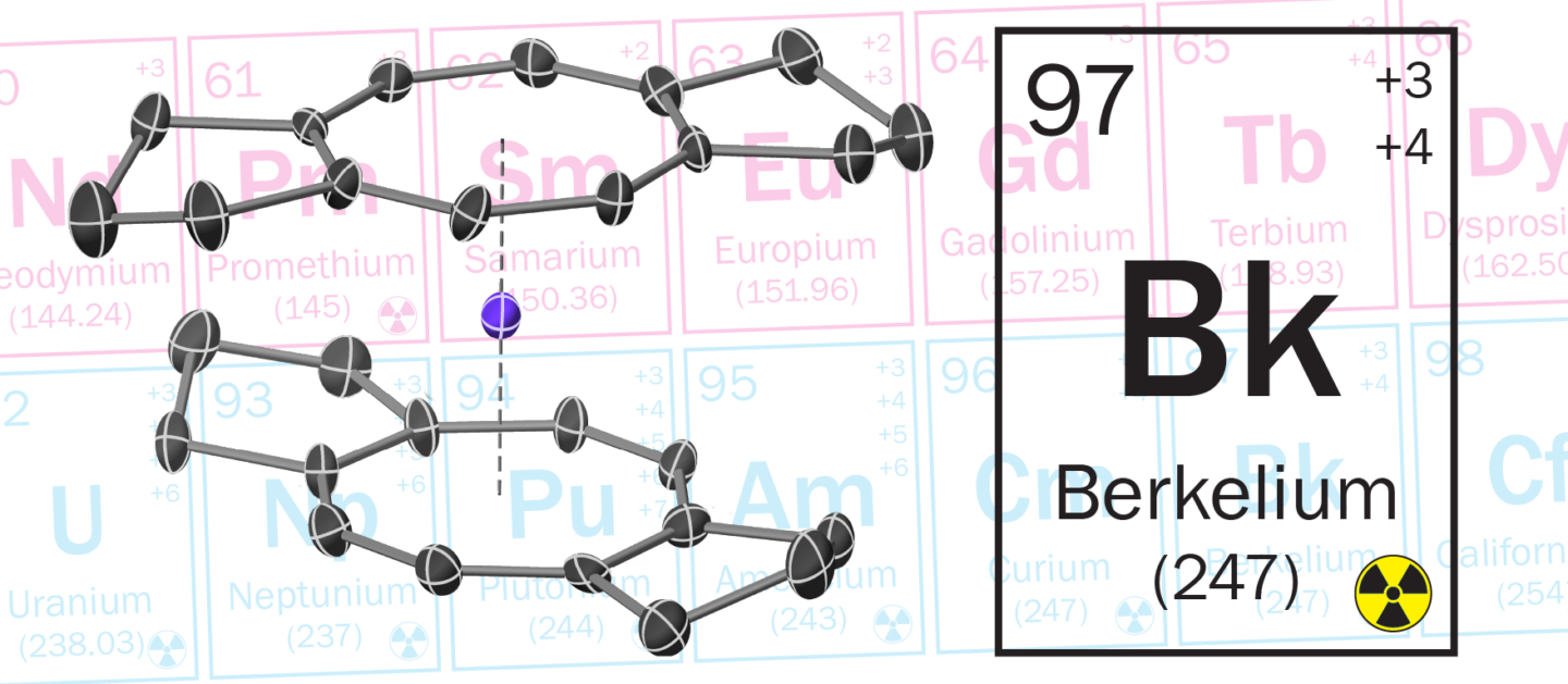 The X-ray structure of berkelocene shows a Bk(IV) ion sandwiched between two substituted cyclooctatetraene ligands.