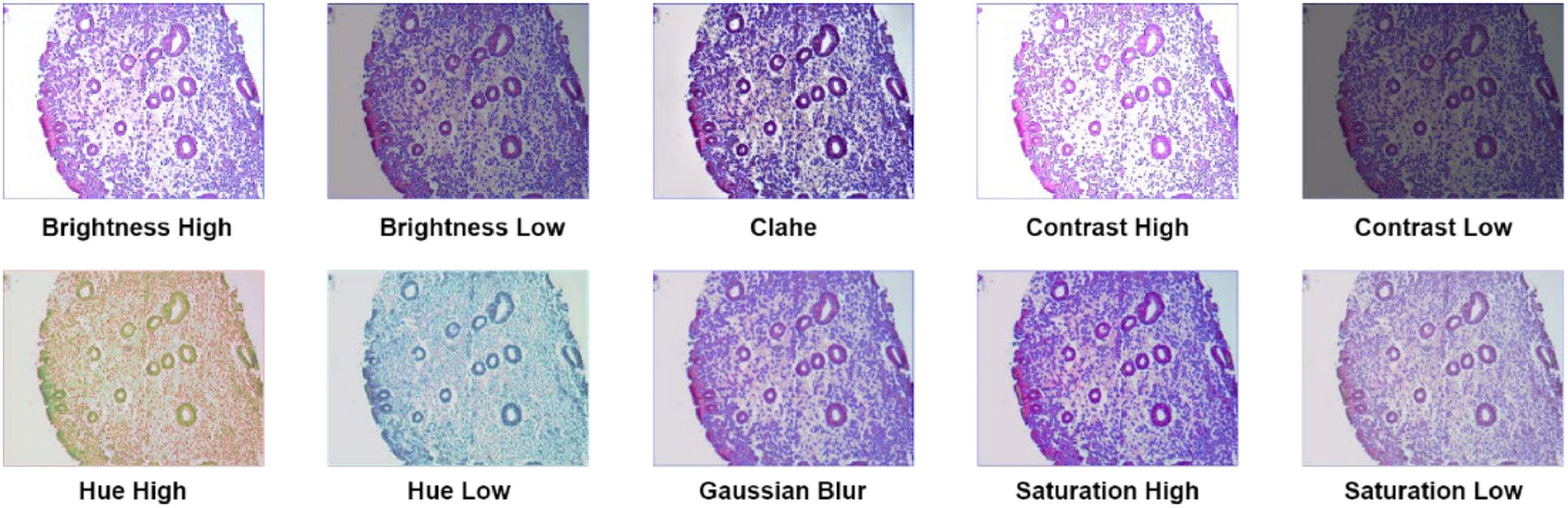 Sample image after applying photometric augmentation. Photometric augmentation involves applying various modifications to the images, such as changes in brightness, contrast, hue, saturation, and blurring. 