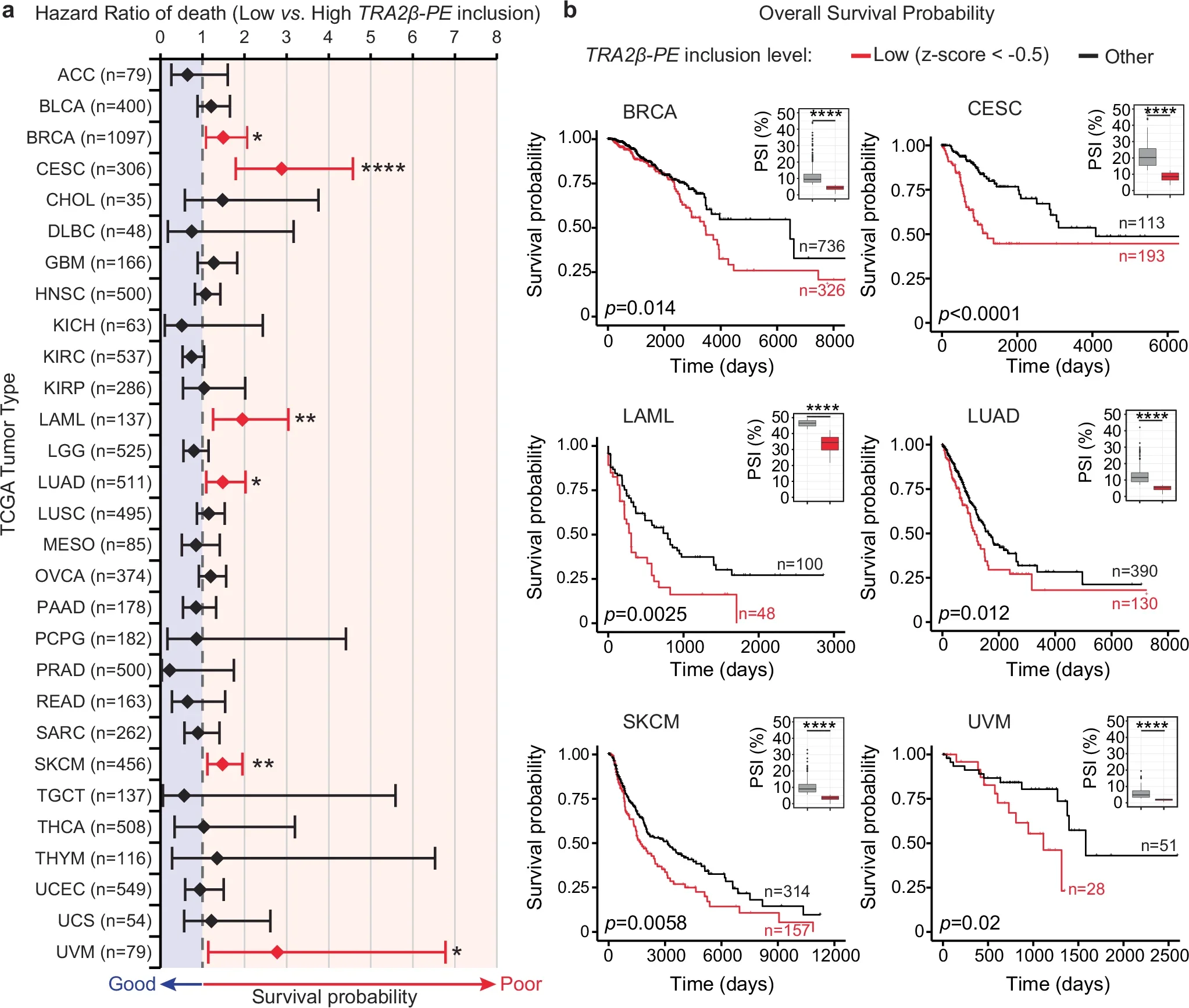 Low TRA2β-PE inclusion correlates with decreased patient survival across multiple tumor types.