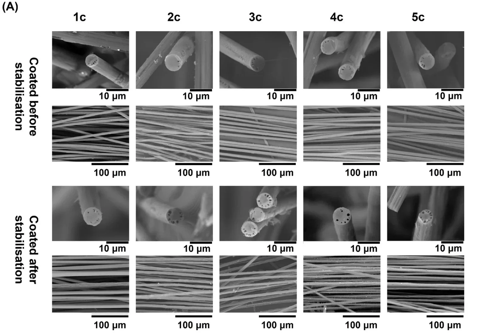 SEM images of CFs produced via full-power MW carbonisation from PAN precursors.