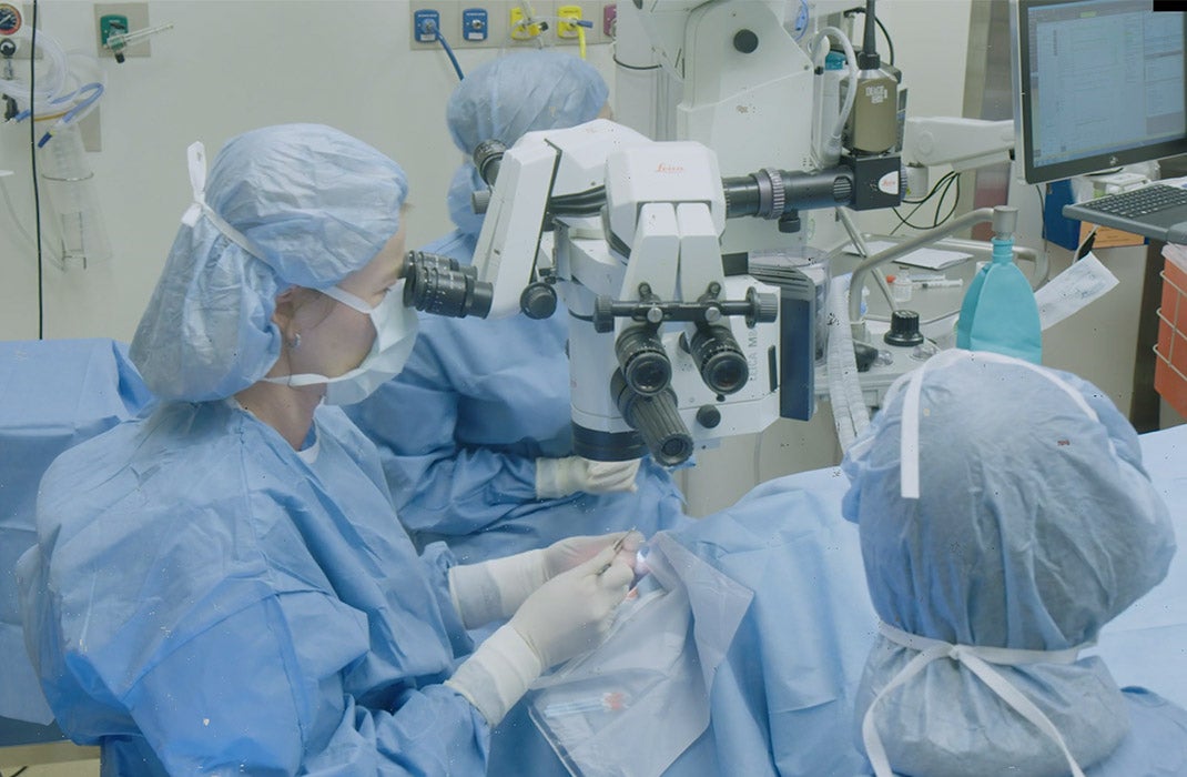 CALEC displayed a high safety profile, with no serious events occurring in either the donor or recipient eyes.