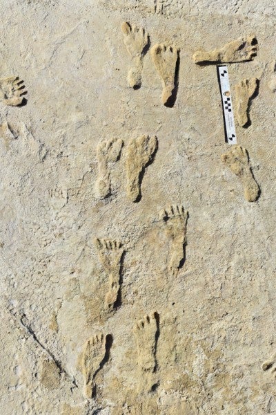 Human activity with human footprints found at the National Park in New Mexico dated to 23,000 years ago.