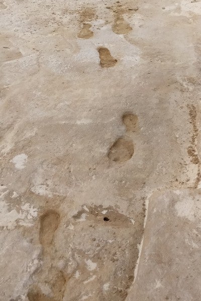 Research into a series of footprints discovered in White Sands National Park has provided further evidence on the timeline of human activity in the Americas.