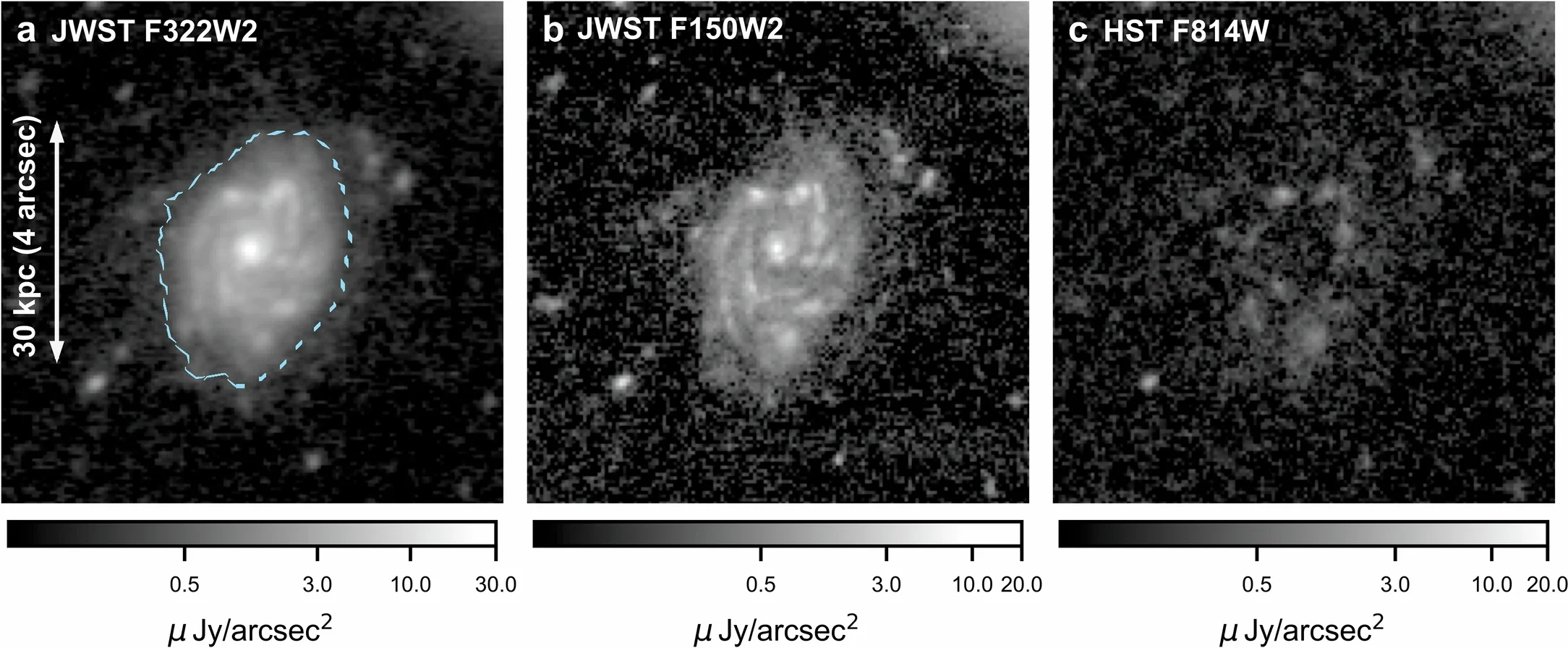 Galaxy images in the JWST near-infrared filters and the HST optical filter.
