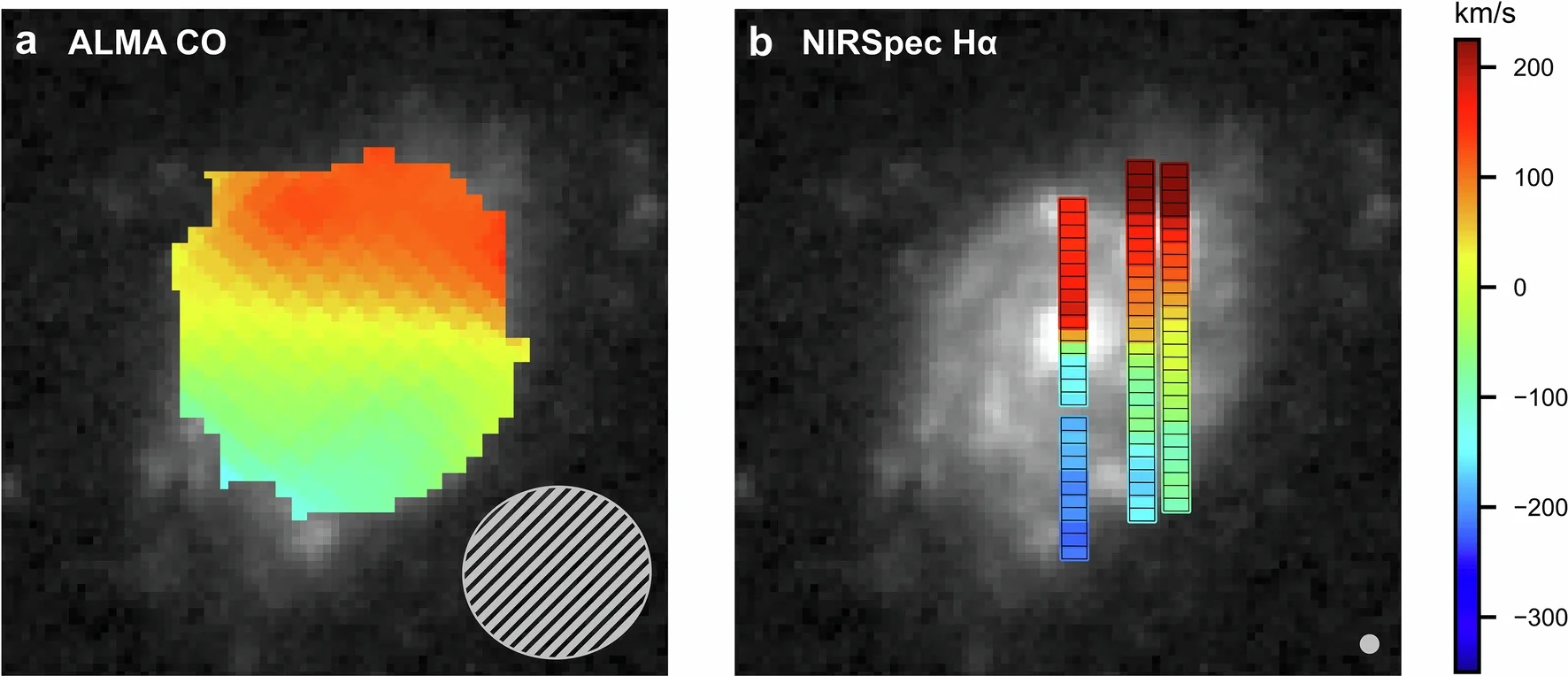The galaxy velocity map measured from the CO and Hα spectral lines.