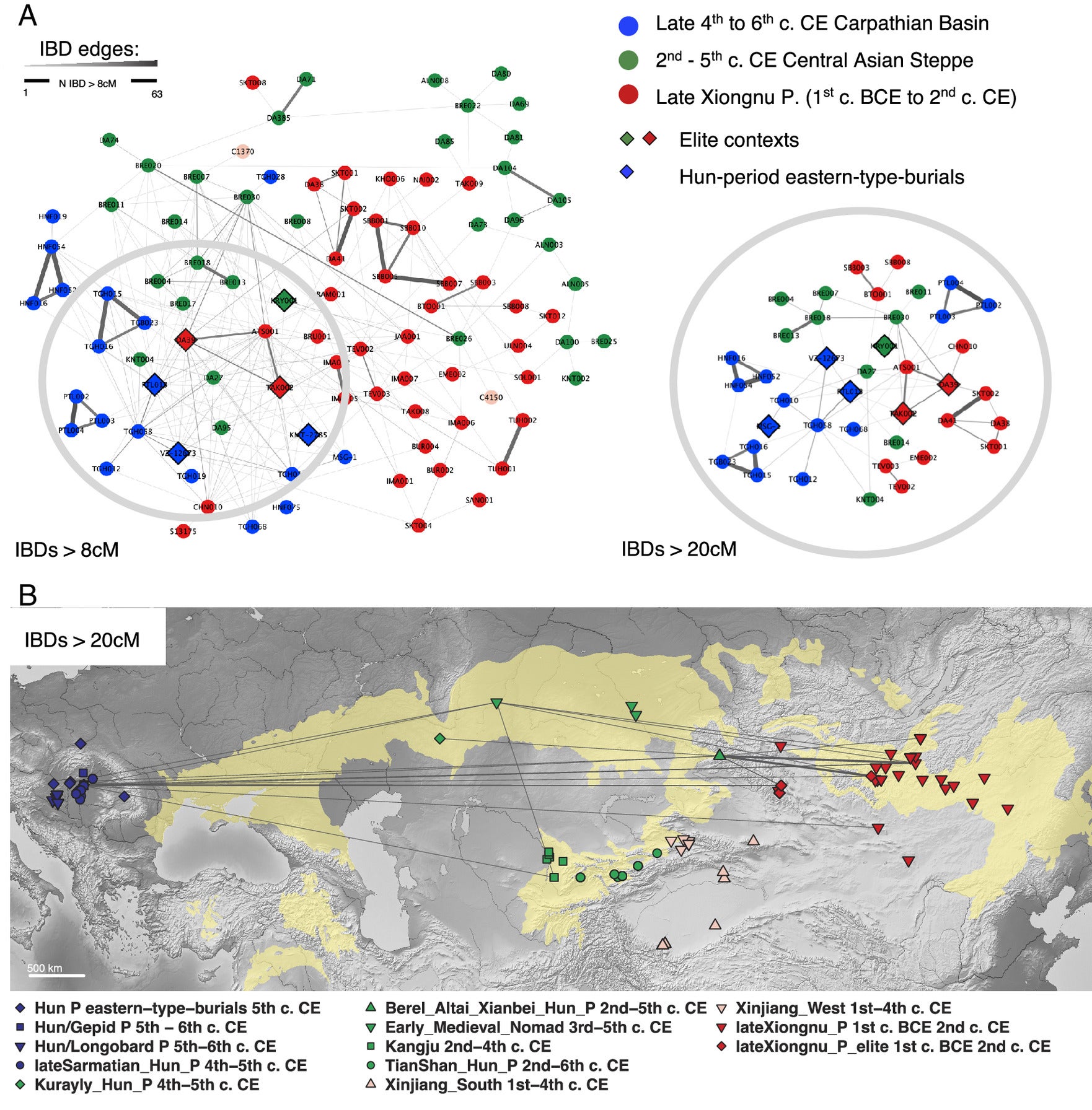 Networks of trans-Eurasian IBD sharing between the Individuals analyzed in the study, considering IBD tracts >8 cM (Left) or >20 cM (Right).