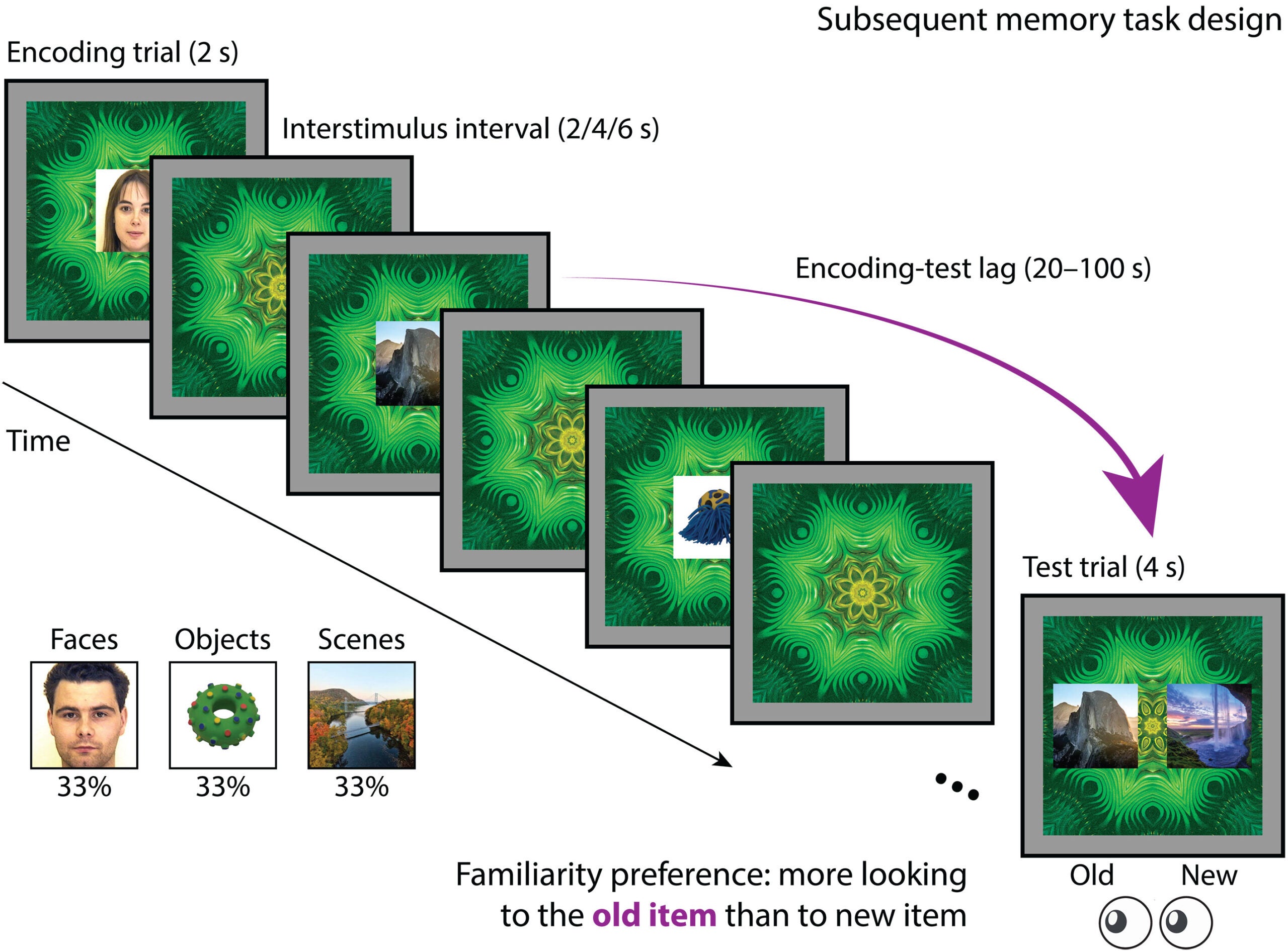 Schematic of a trial sequence shown to infants during fMRI depicting encoding trials with a previously unseen face, object, or scene photograph