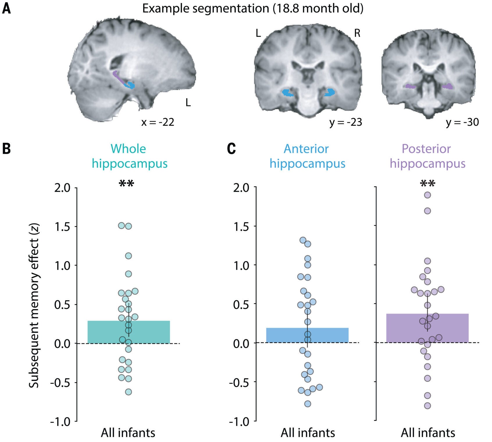 Post-learning memory responses in the developing hippocampus.