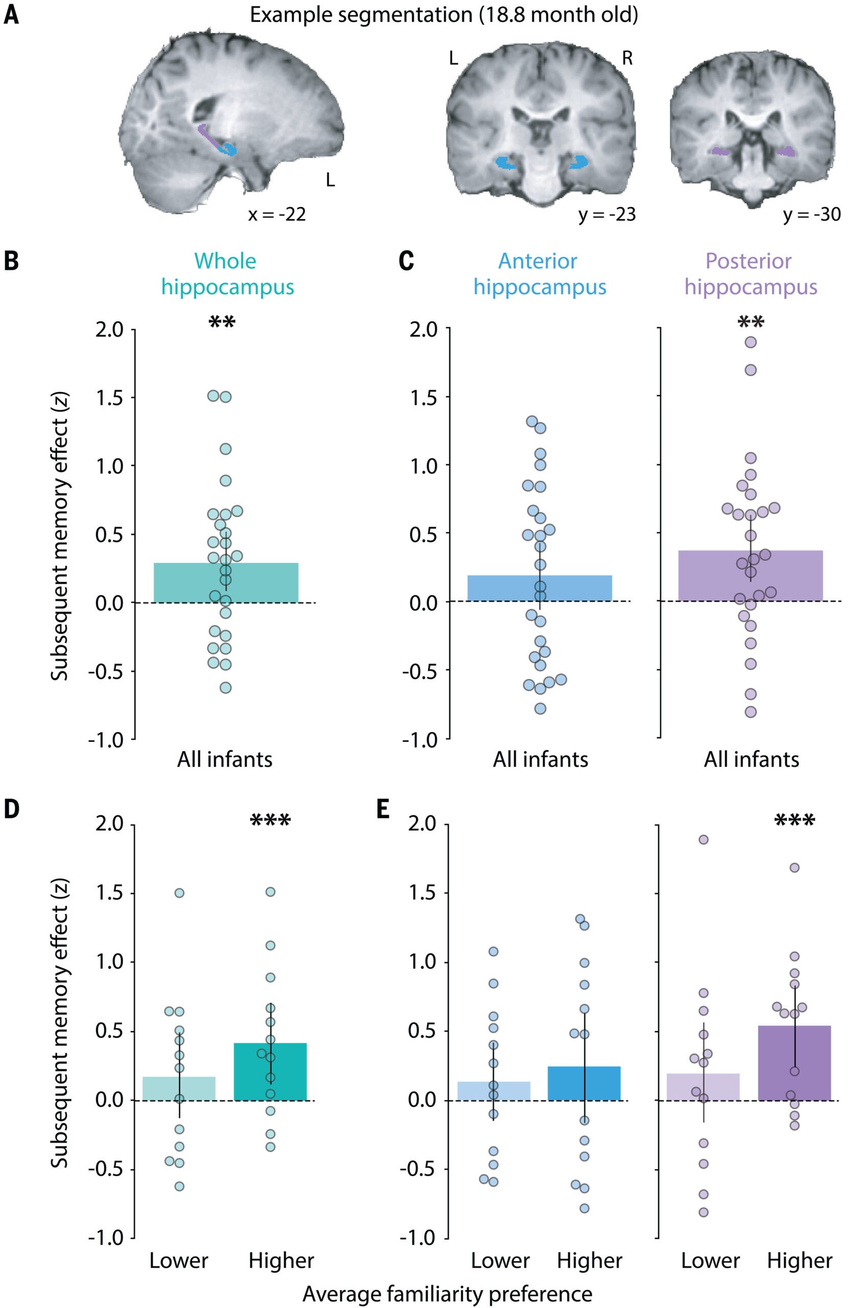 Subsequent memory effect in the infant hippocampus.