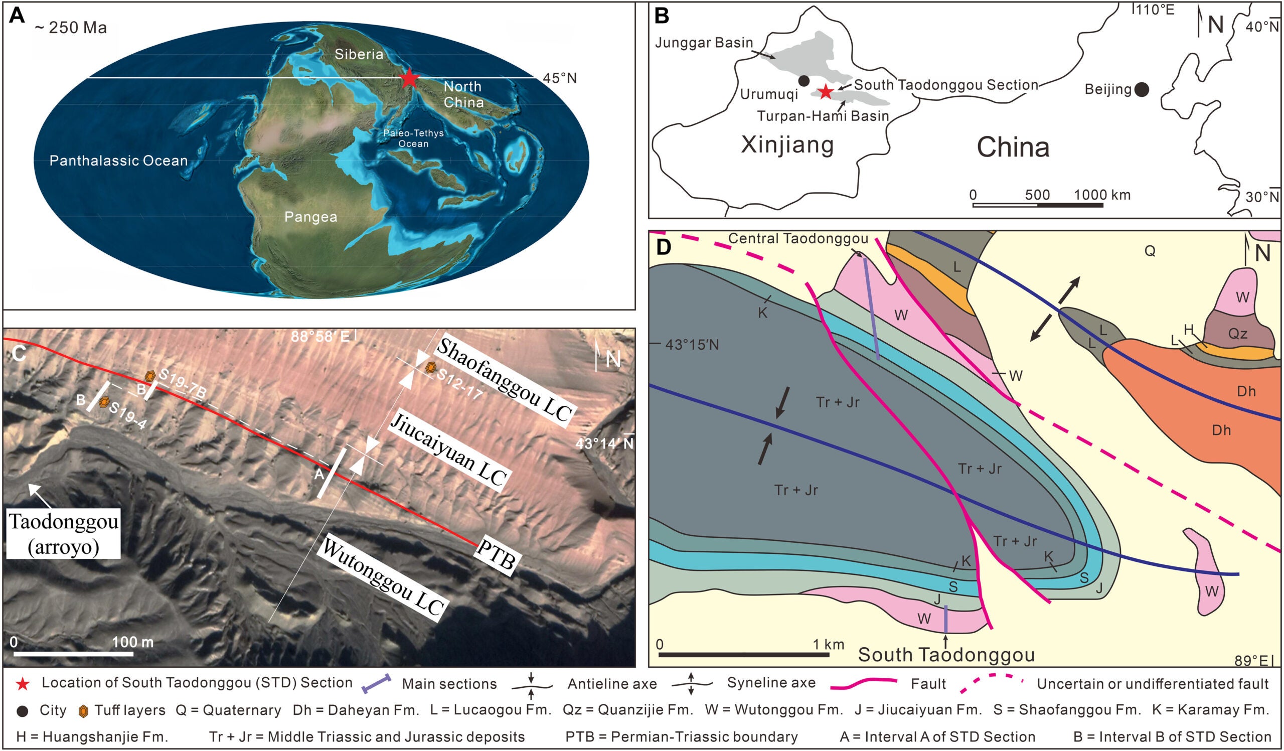 Global paleogeographic map in the Early Triassic approximately 250 Ma, showing the location of the STD Section (red star) at approximately 45°N paleo-latitude.