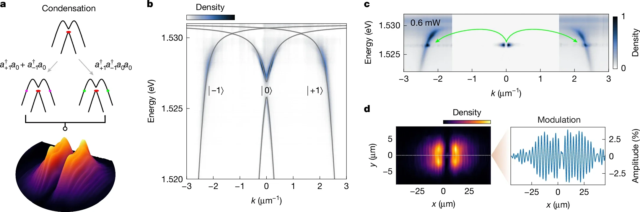 The mechanism that leads to the formation of the supersolid. Linear and nonlinear scattering processes combine and give rise to a density modulation in coordinate space. 