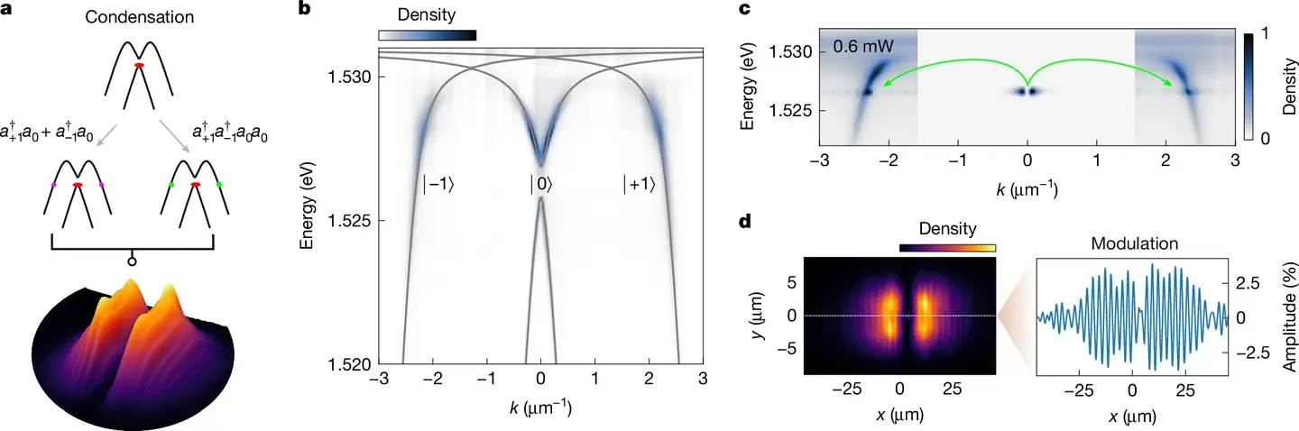 The mechanism that leads to the formation of the supersolid. Linear and nonlinear scattering processes combine and give rise to a density modulation in coordinate space.