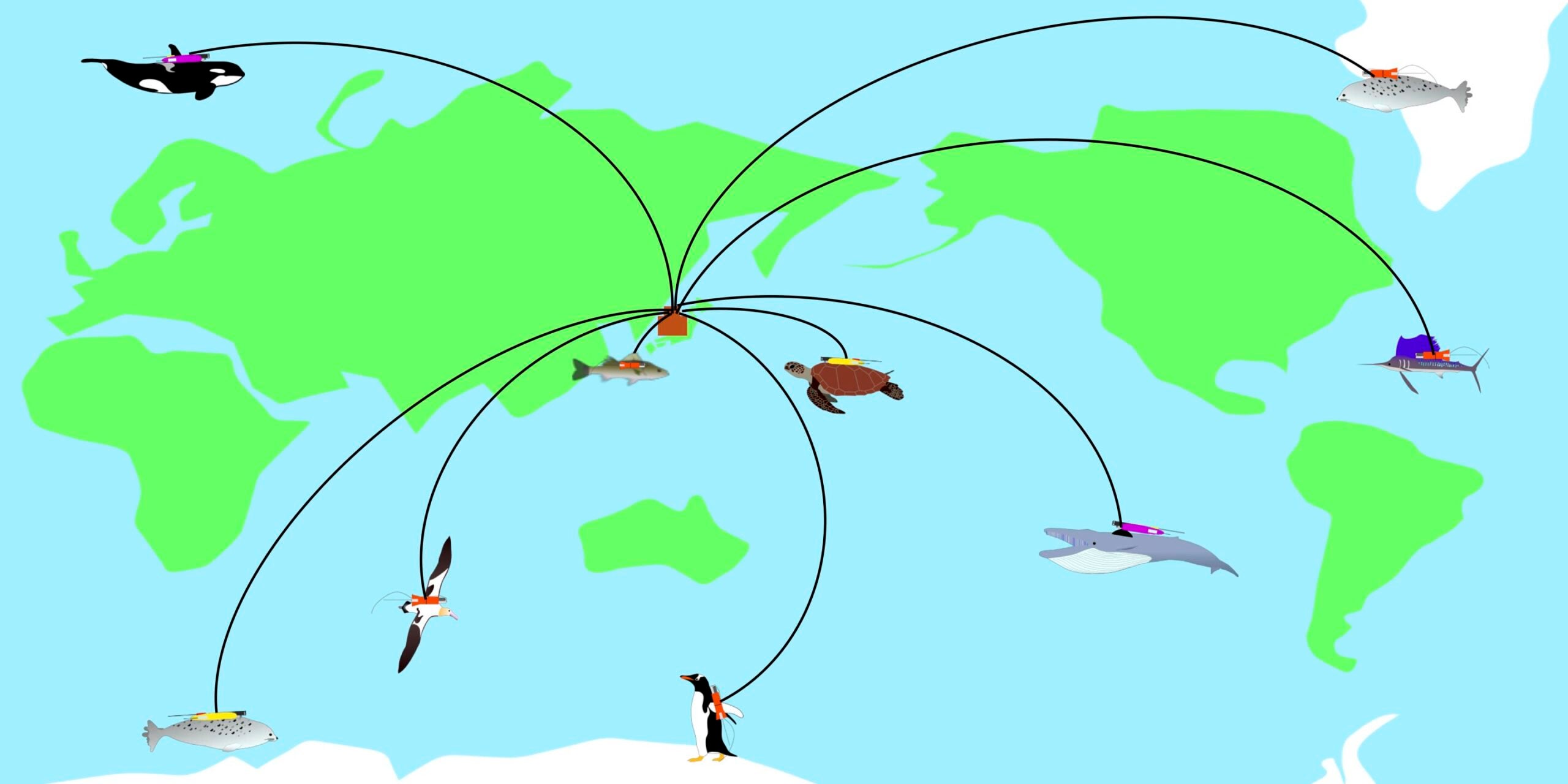 Iwata is working towards the so-called “Internet of Animals,” which refers to the networked collection of biologging data from a broad range of animals and environments. The main challenges for this are global data availability and the compatibility of different recording standards, which is an area where his team advocates for increased collaboration between researchers and data collection platforms.