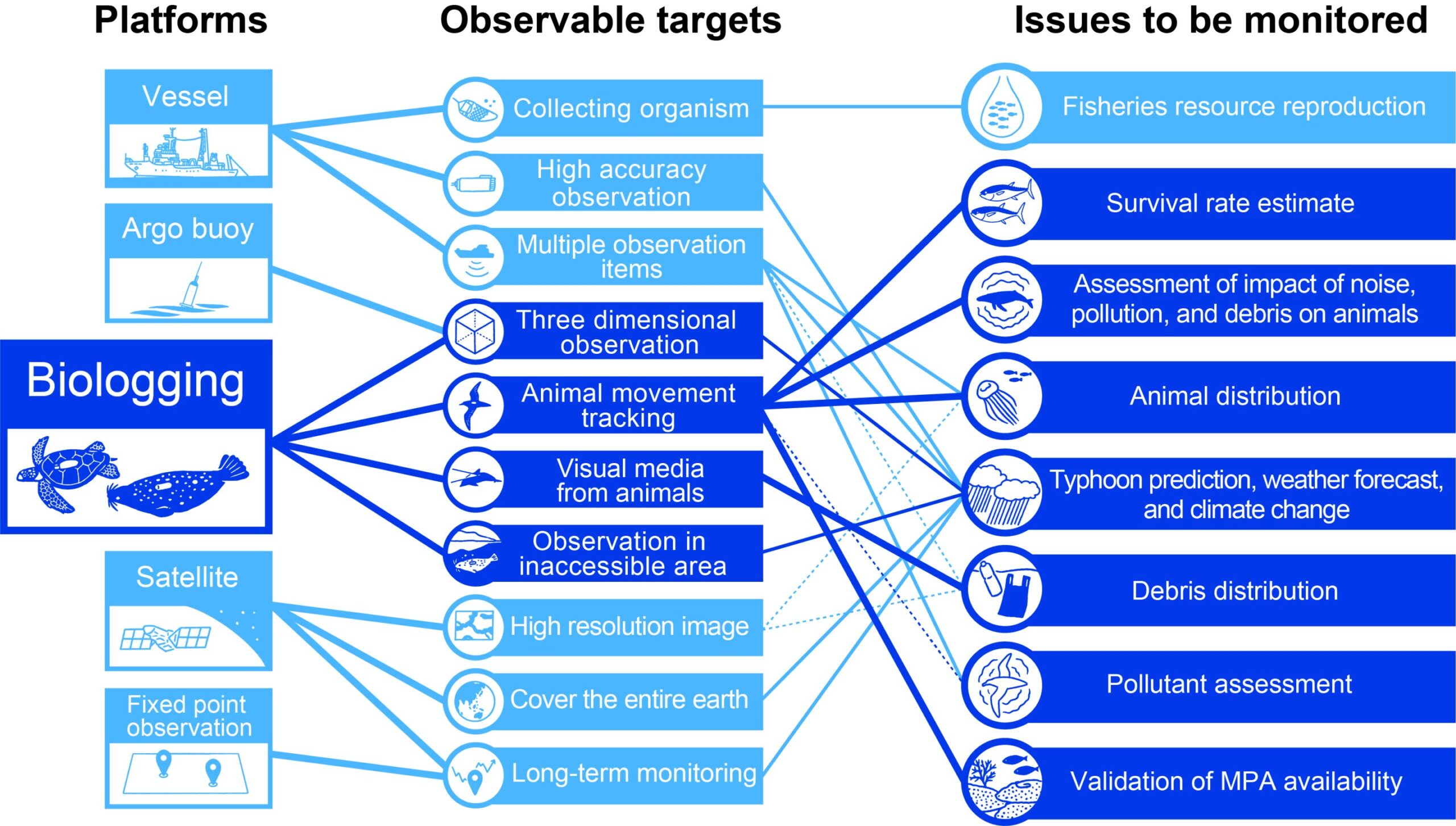 Study provides a new type of data that differs from the wide-area environmental information obtained from earth observation satellites and other sources to tackle a broad range of environmental issues.