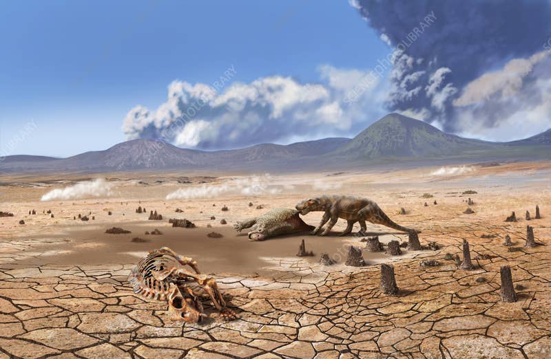 Fossil evidence reveals a land ecosystem that survived Earth's worst extinction.