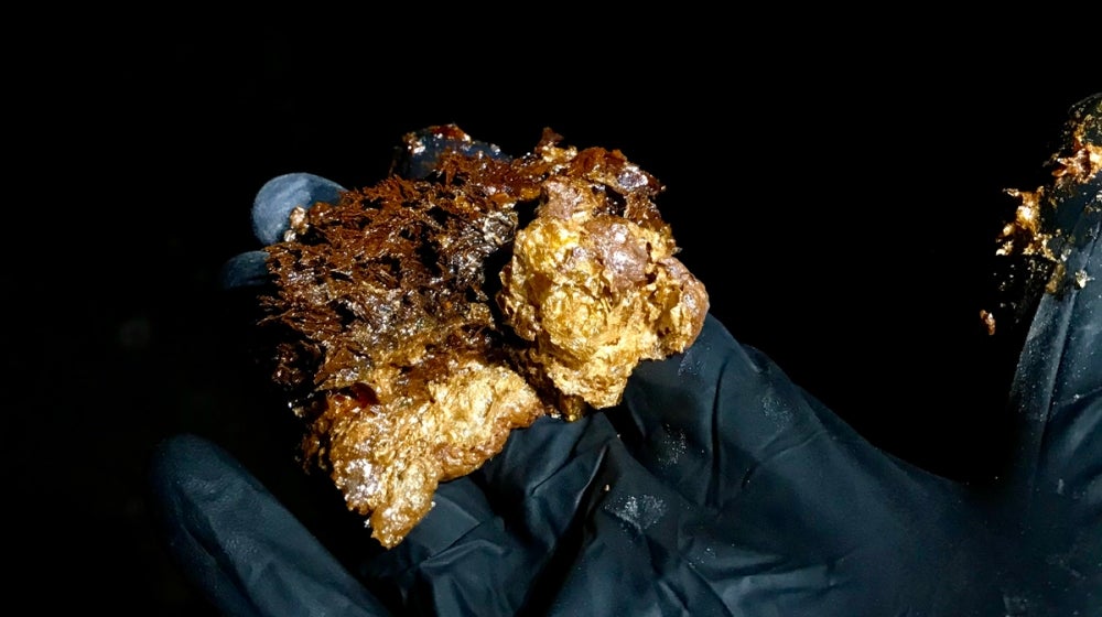 An iron oxide microbial mat that develops in the outflow channels from the boreholes drilled at the Soudan Underground Iron Mine in northern Minnesota. 