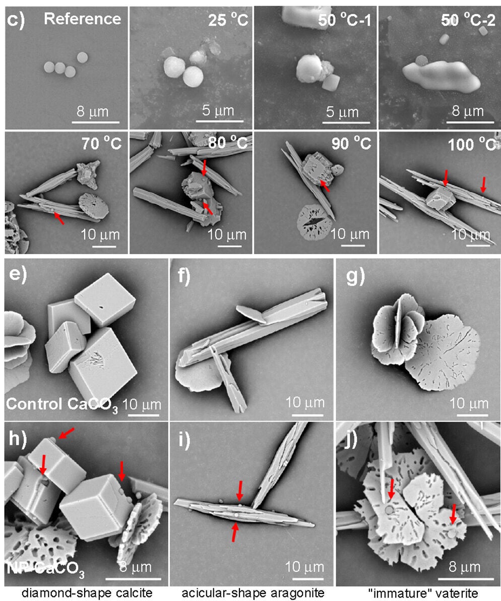 Scanning electron microscopic (SEM) images of reference NP (Reference) and incrustants began to grow on NP surface and finally encapsulated NP at 25–100 °C