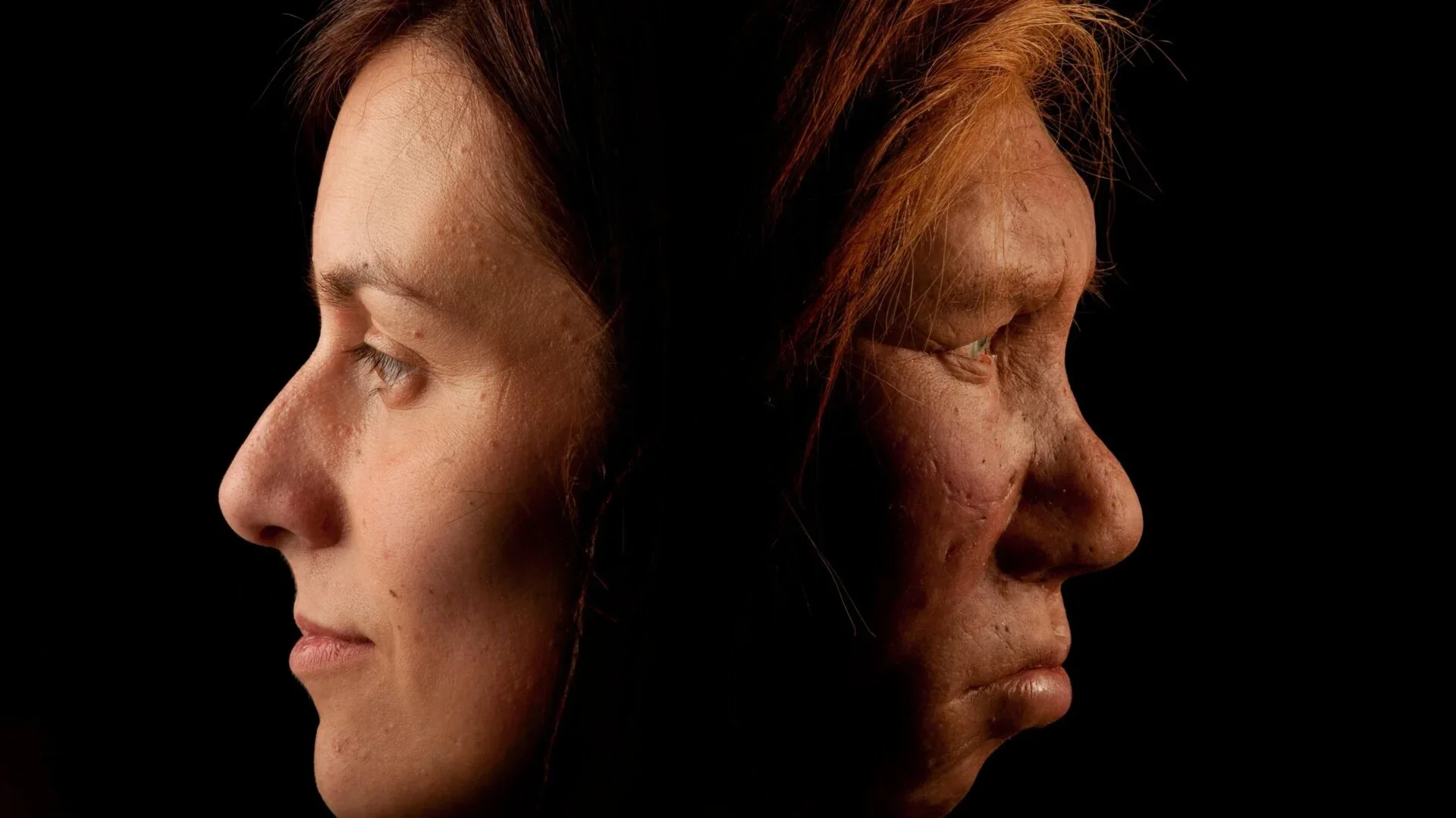 Scientists find DNA evidence that Neanderthals never went extinct - The Brighter Side of News