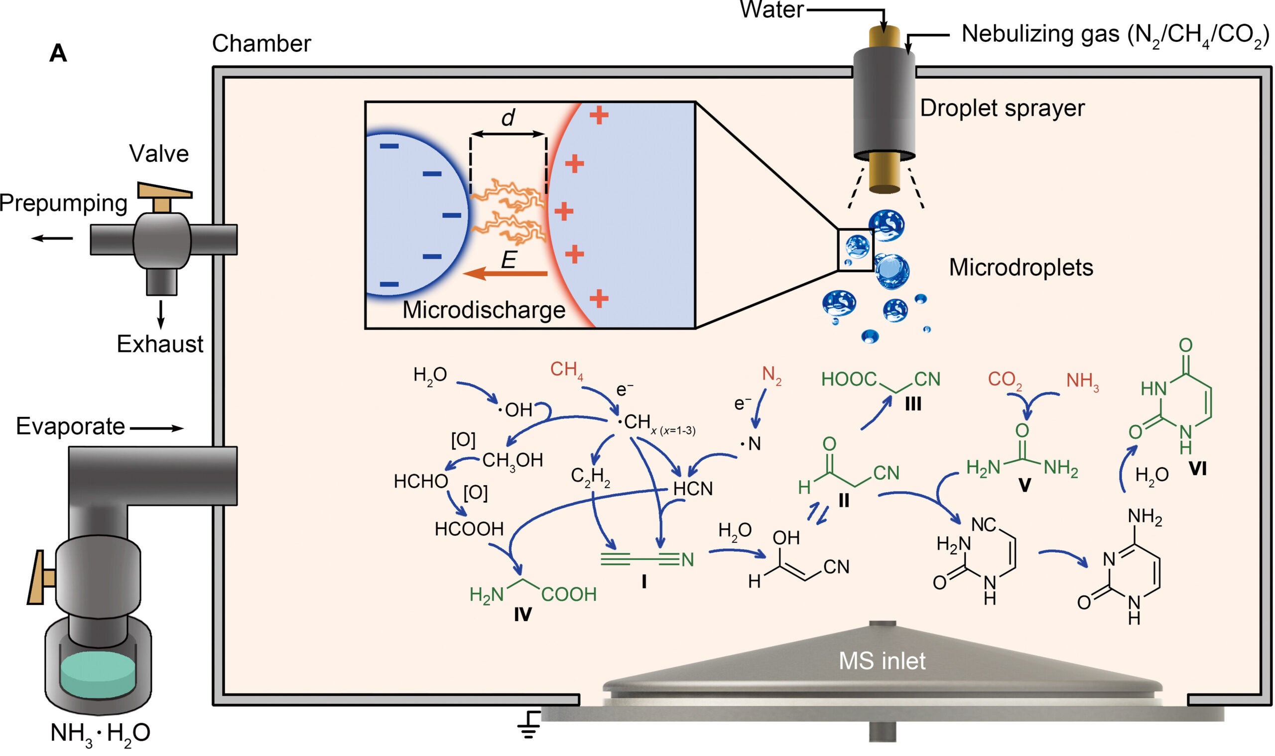 Schematic diagram of the prebiotic synthesis experiment. Gases (N2, CH4, CO2, and NH3) in orange surround a spray containing larger positively and smaller negatively charged water microdroplets, which, when they come into proximity, cause a microlightning, forming the products in green: (I) cyanoacetylene, (II) cyanoacetaldehyde, (III) cyanoacetic acid, (IV) glycine, (V) urea, and (VI) uracil.