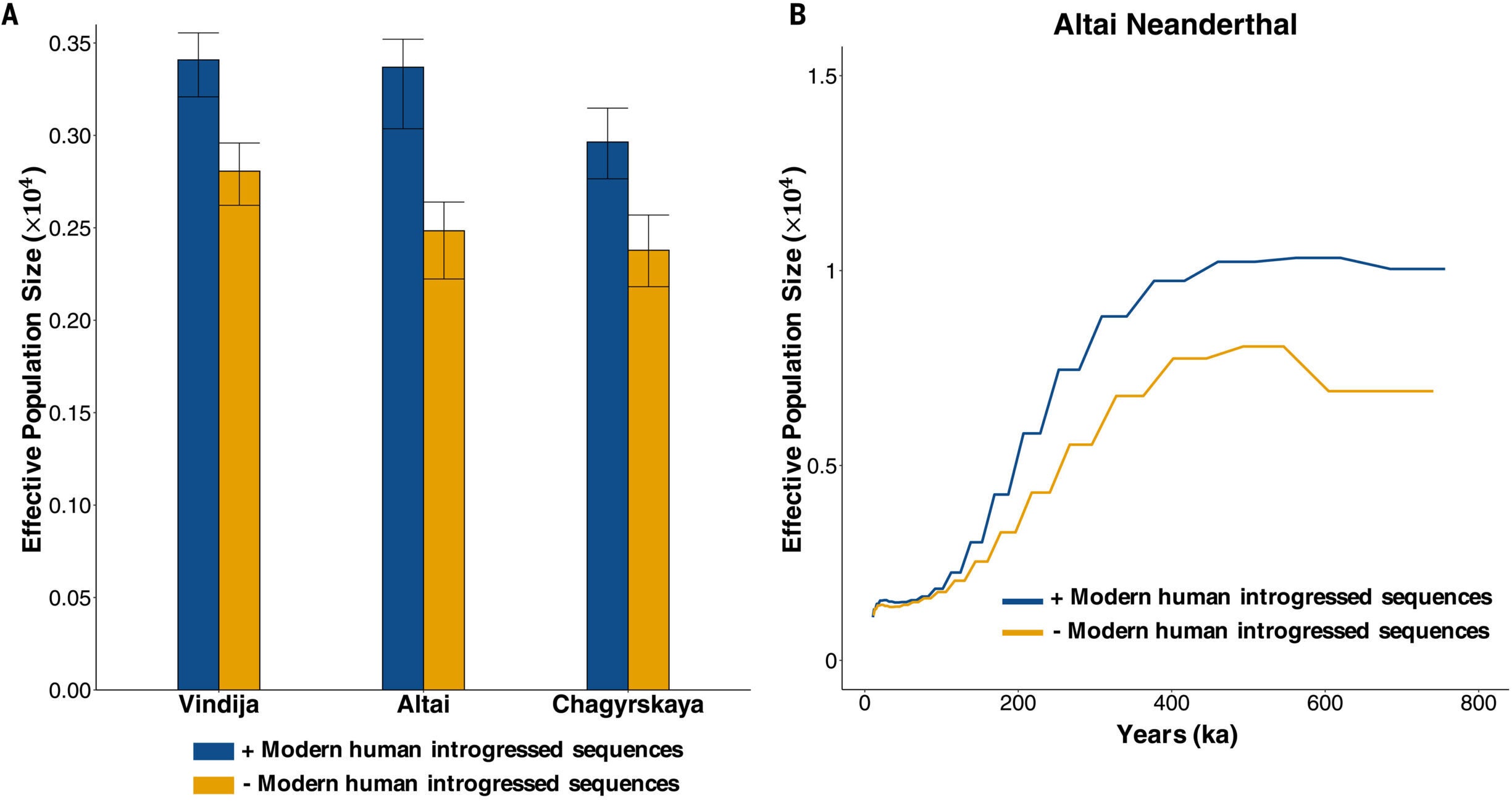 Modern human–introgressed sequences in Neanderthals lead to biased estimates of effective population size Ne.