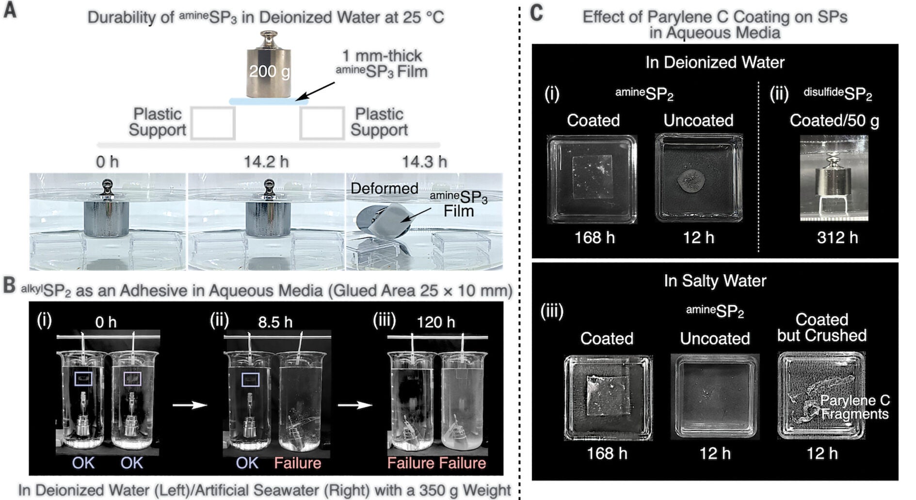 Sustainable features of SPs and extension to polysaccharide-based SPs (ChSPs).