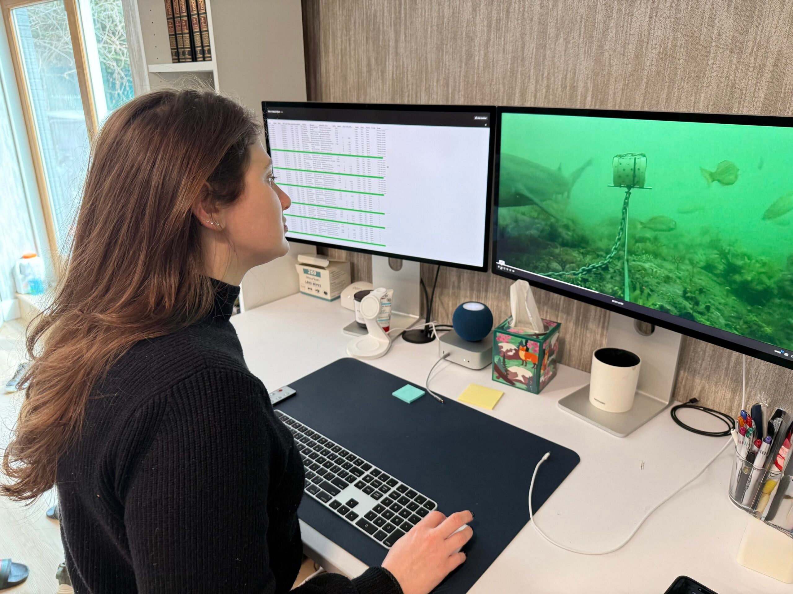 Yakira Herskowitz, a former graduate student at the Rosenstiel School and co-author of the research, examines underwater video footage gathered during the study.