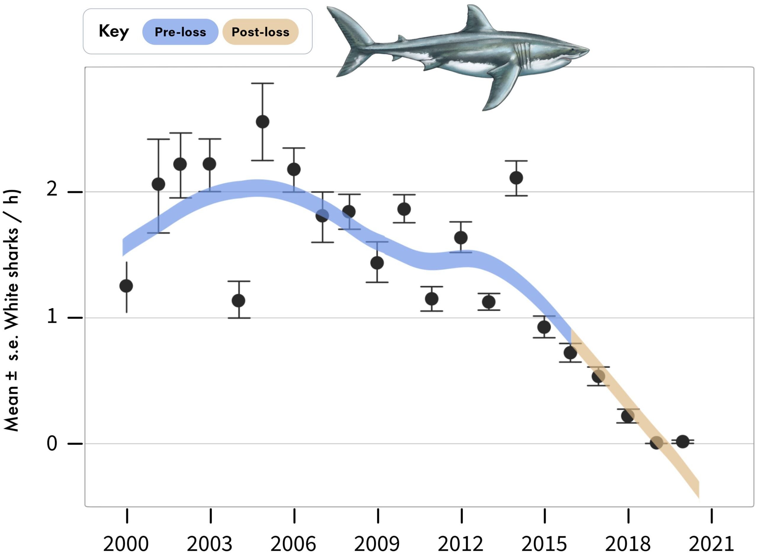 Annual sightings of white sharks during standardized boat-based surveys at Seal Island, in False Bay. Data are mean ± standard error of white shark sightings per hour averaged across sampling days for each year.
