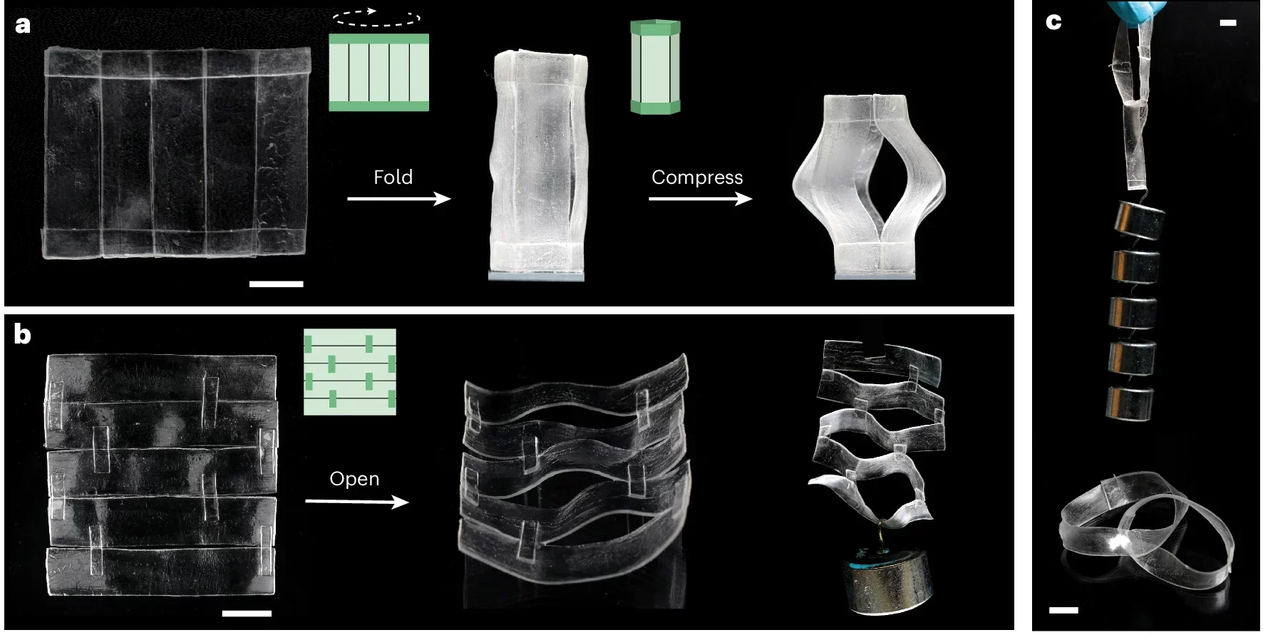 Demonstration of self-healing for assembled complex-shaped hydrogels and incorporation of new functionalities.