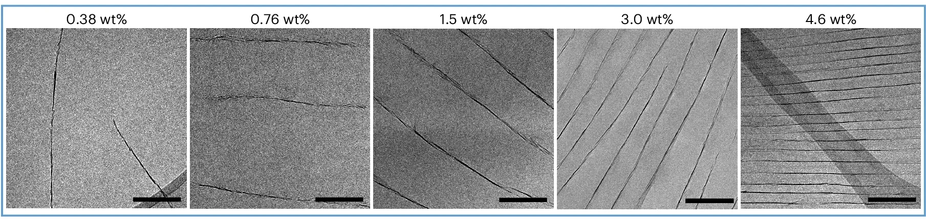 TEM characterization of aligned co-planar nanosheets in the nanoconfined hydrogel.