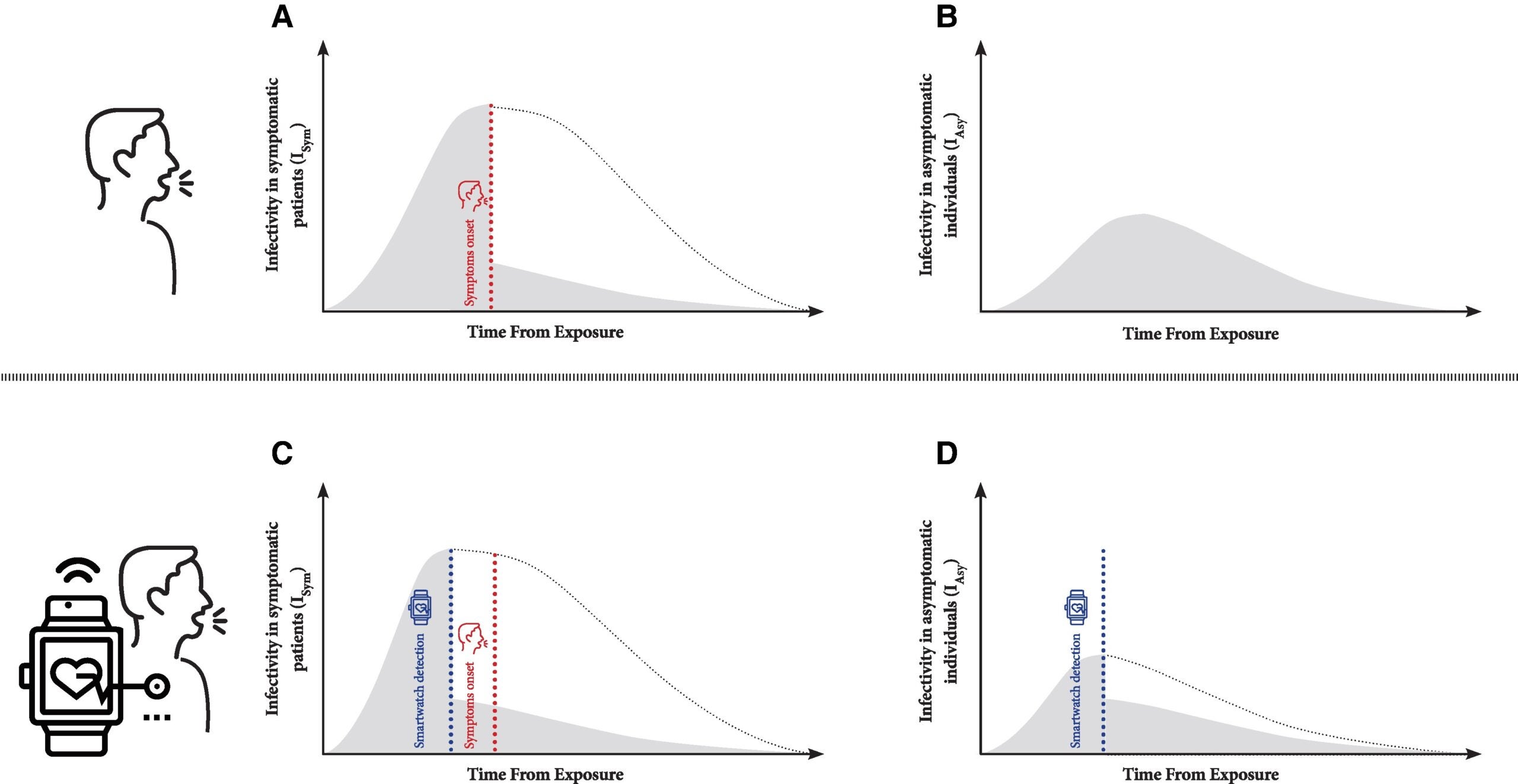 Schematic representation of the model. This figure illustrates the changes in infectivity associated with disease progression among both symptomatic (A and C) and asymptomatic (B and D) individuals throughout the infection period.