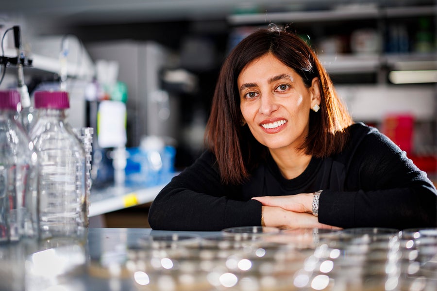 By revealing how a light-activated switch can reshape cells in real time, we’re uncovering basic design principles for how living systems self-organize and evolve shape,” says the study’s senior author, Nikta Fakhri, associate professor of physics at MIT