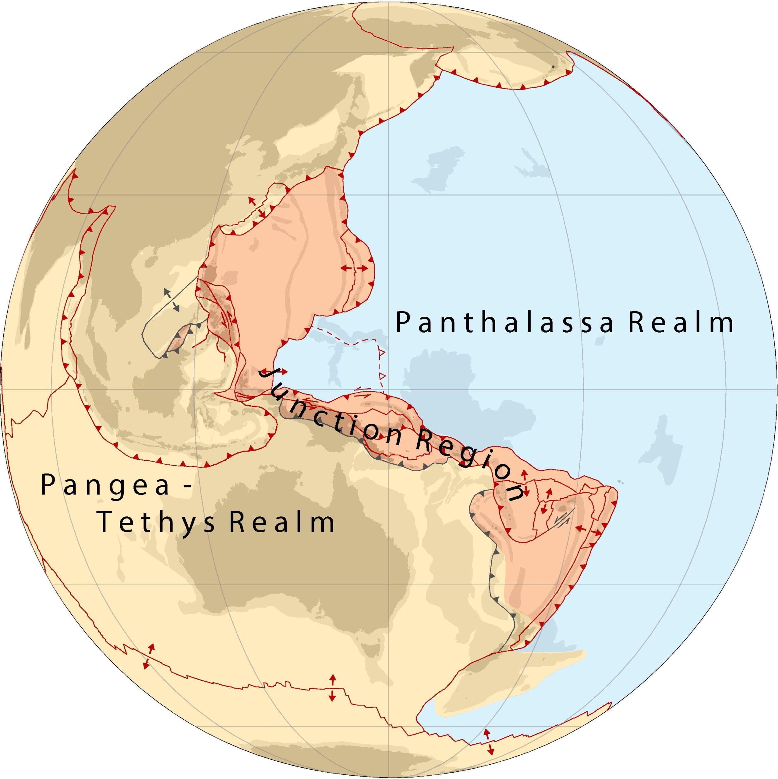 Map of the Pangea-Tethys and Panthalassa plate tectonic realms separated by the Juction Region. Present-day plate boundaries are red (modified from Bird, 2003), relevant former plate boundaries are gray. Dark shaded areas behind colored realms are present-day subaerially exposed crust, the light shaded areas are submerged continental crust and thickened oceanic crust, i.e.,oceanic plateaus and island arcs.